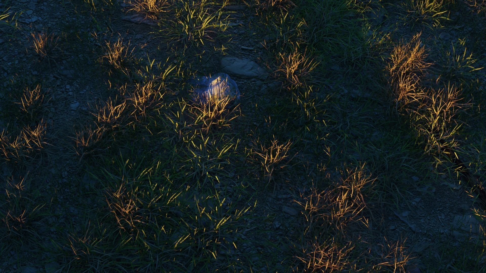 August Forest 3D model_8