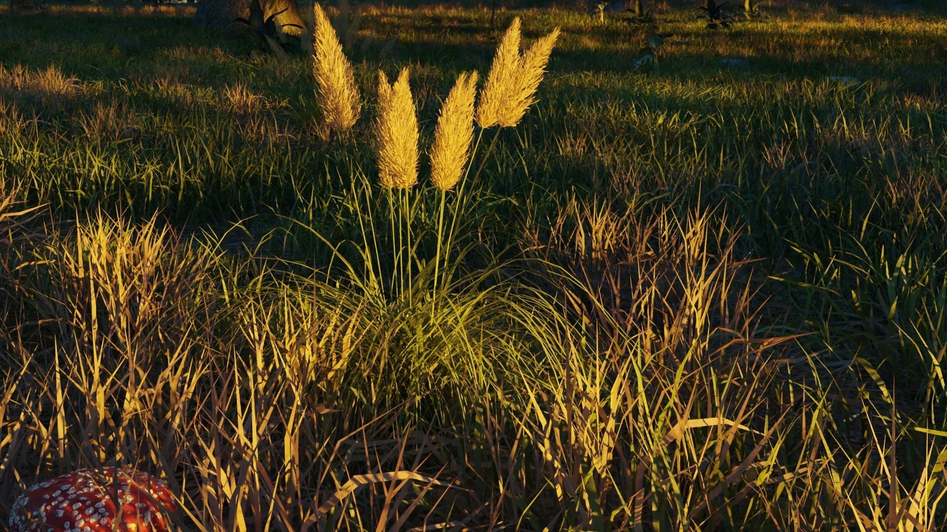 August Forest 3D model_4