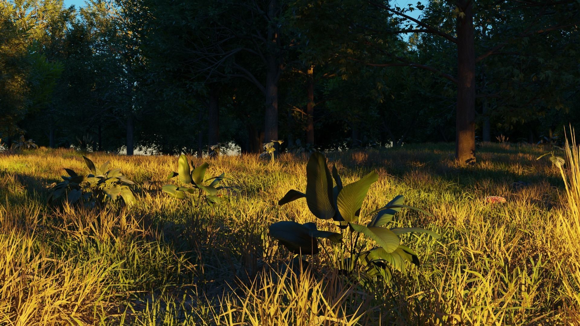 August Forest 3D model_3