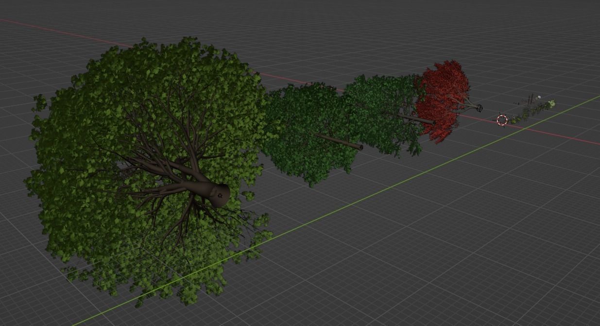 August Forest 3D model_9