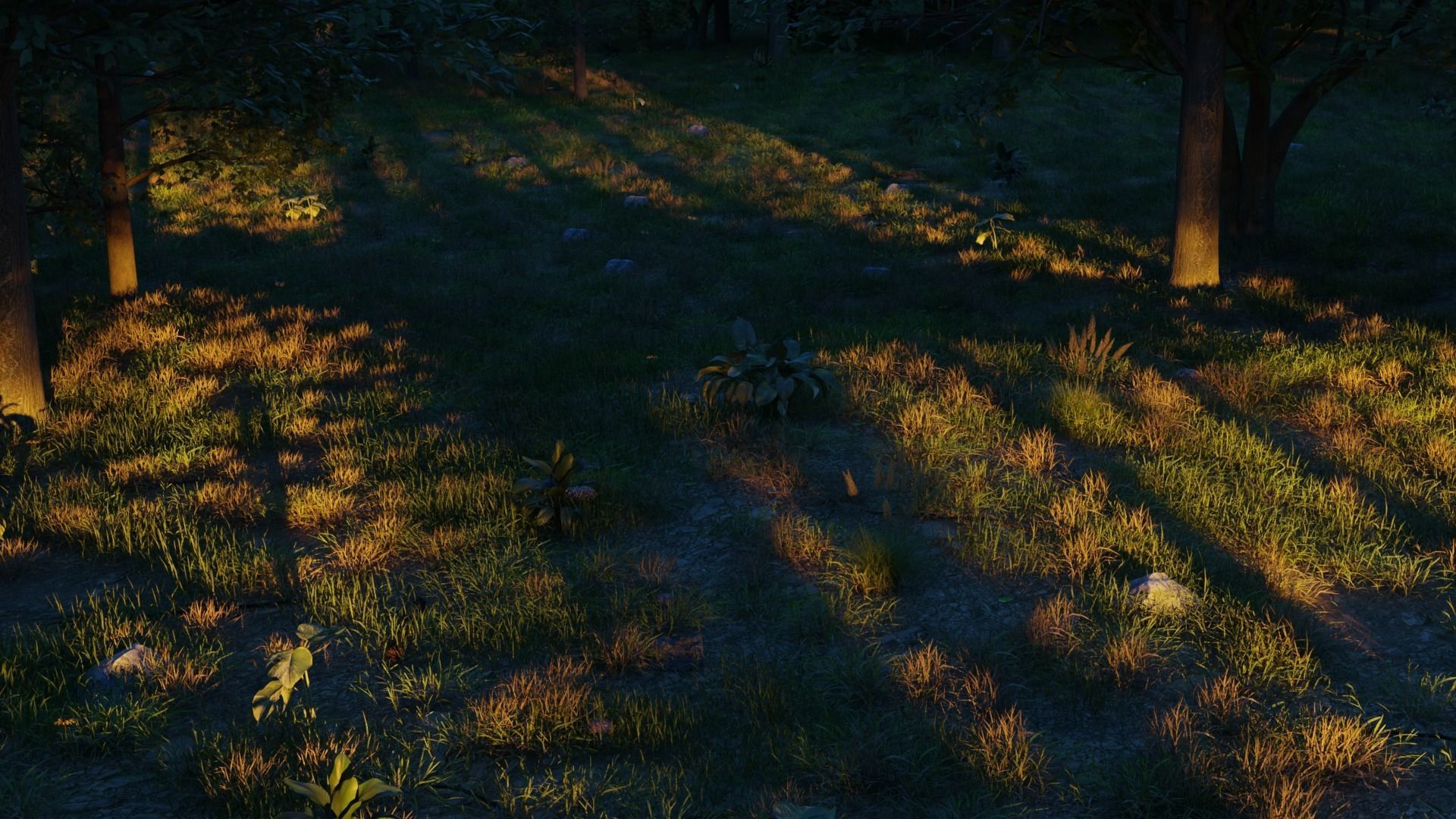 August Forest 3D model_6