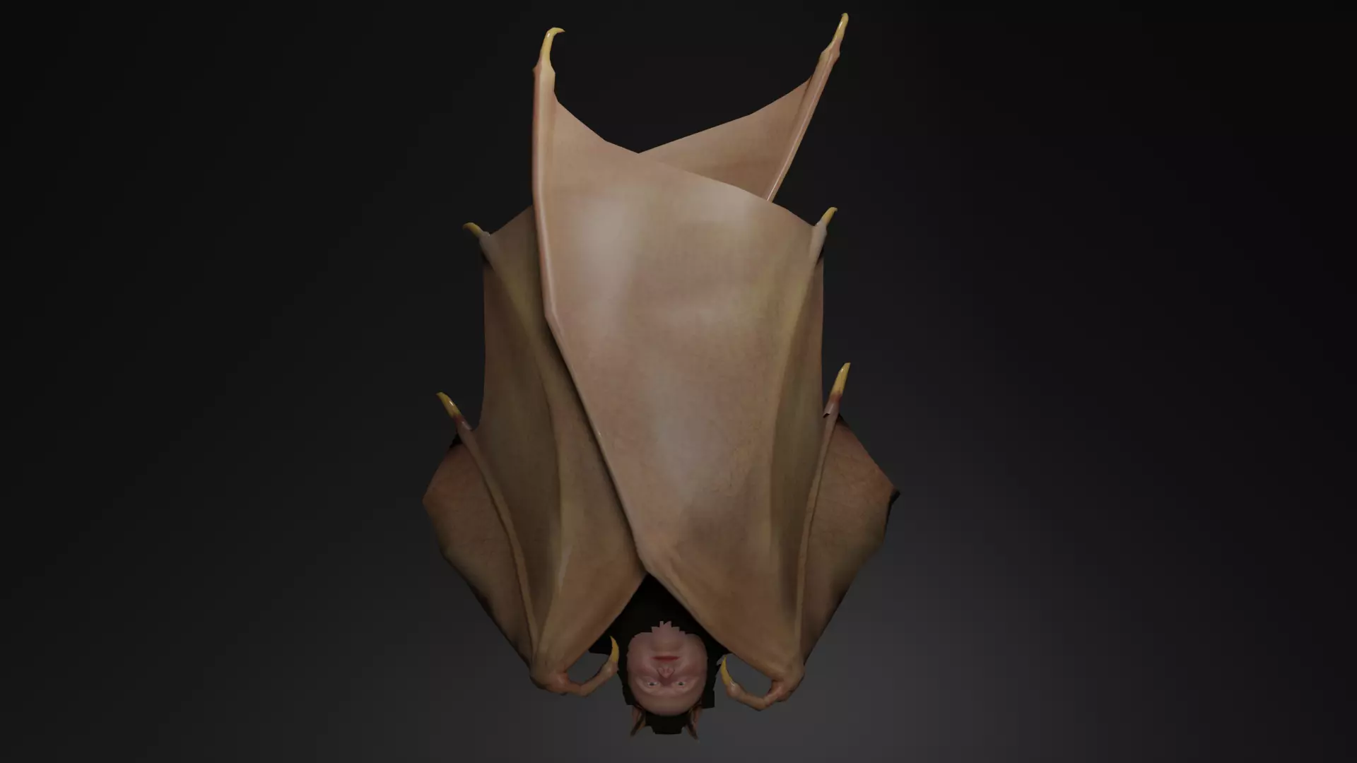 Animated Bat Low-poly 3D model