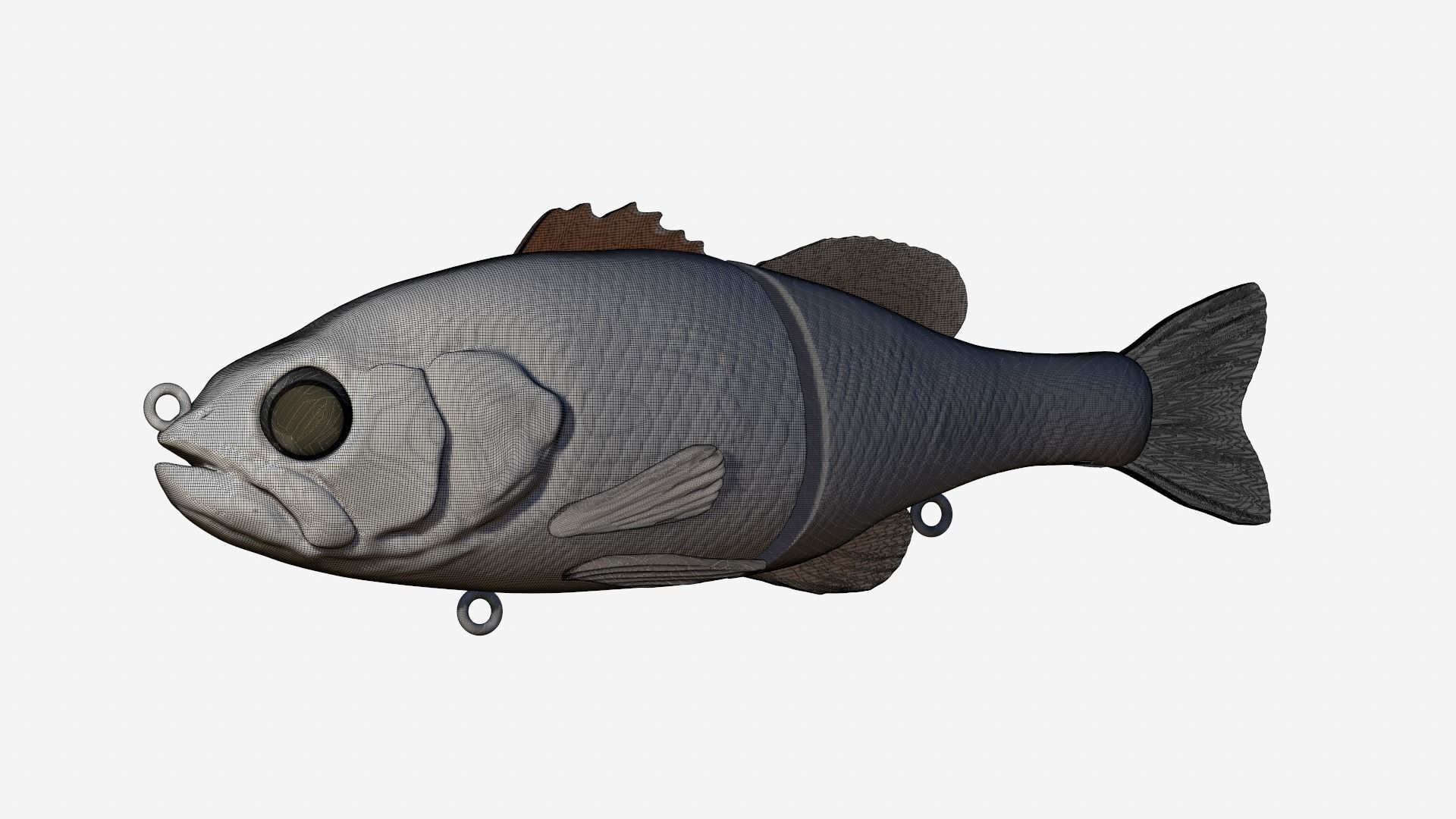 Bass swimbait 3d print  3D print model_9