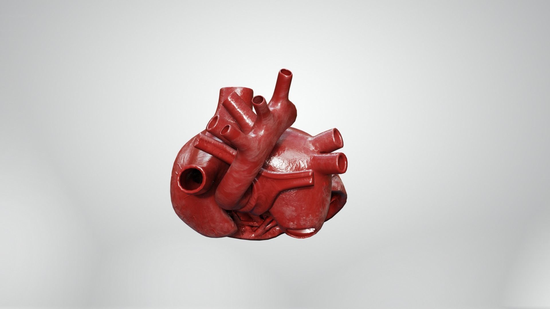 Inner Heart Low-poly 3D model_9