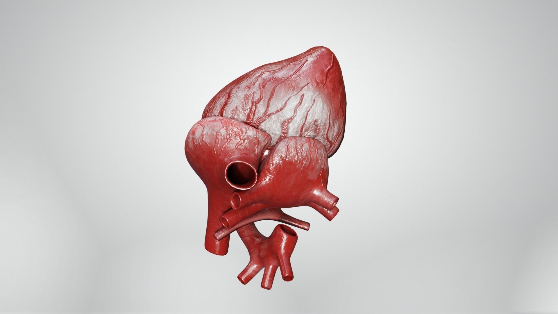 Inner Heart Low-poly 3D model_11