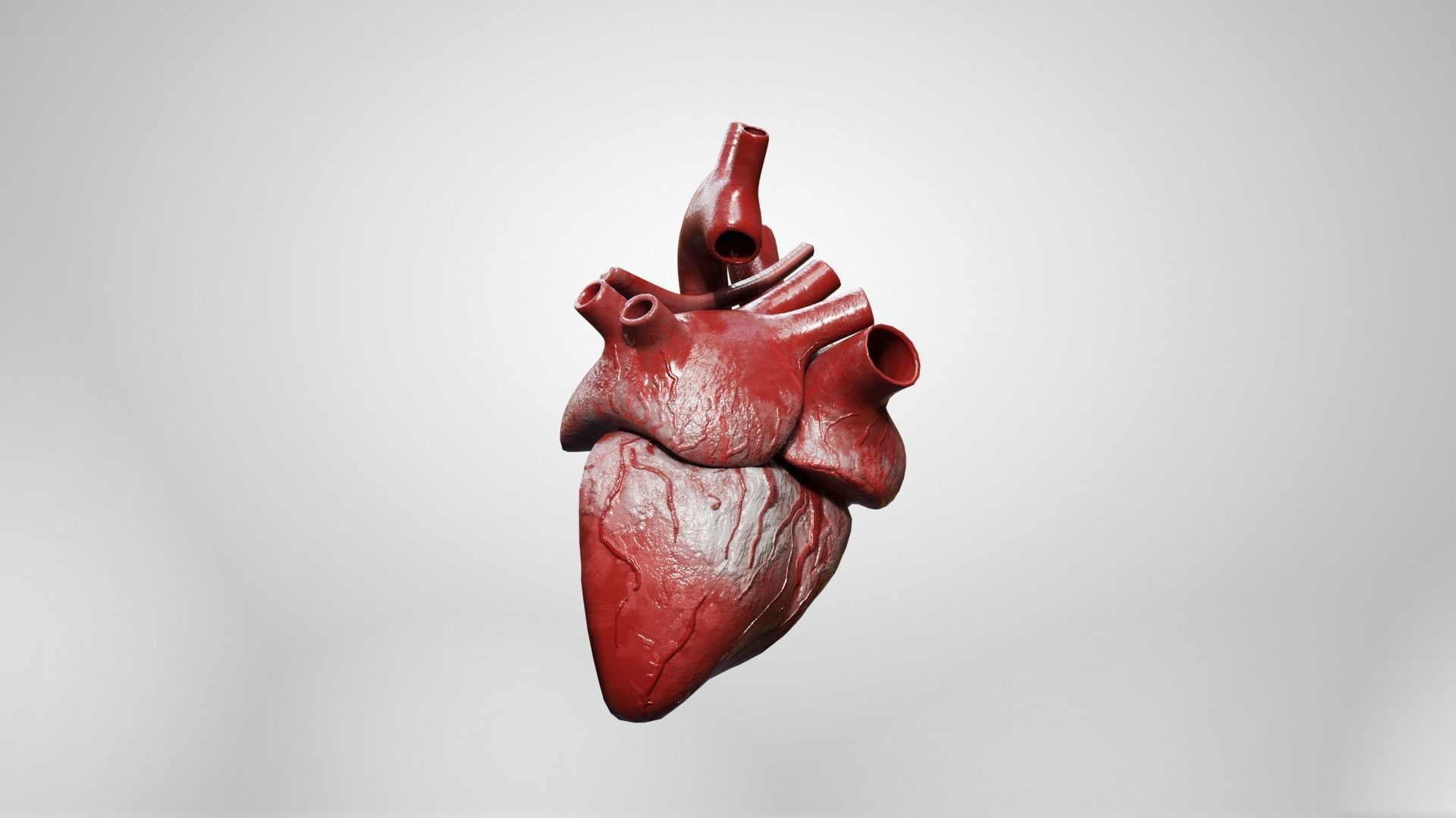 Inner Heart Low-poly 3D model_6