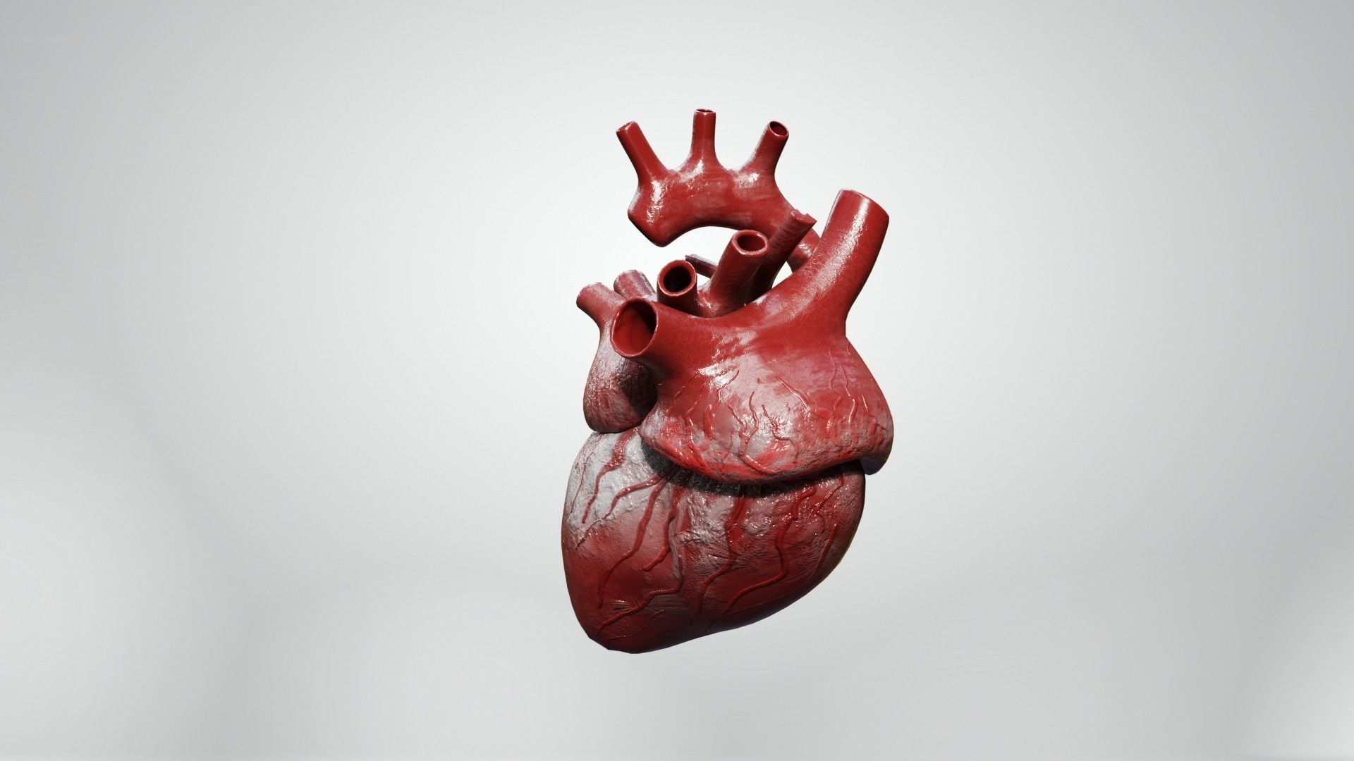 Inner Heart Low-poly 3D model_4