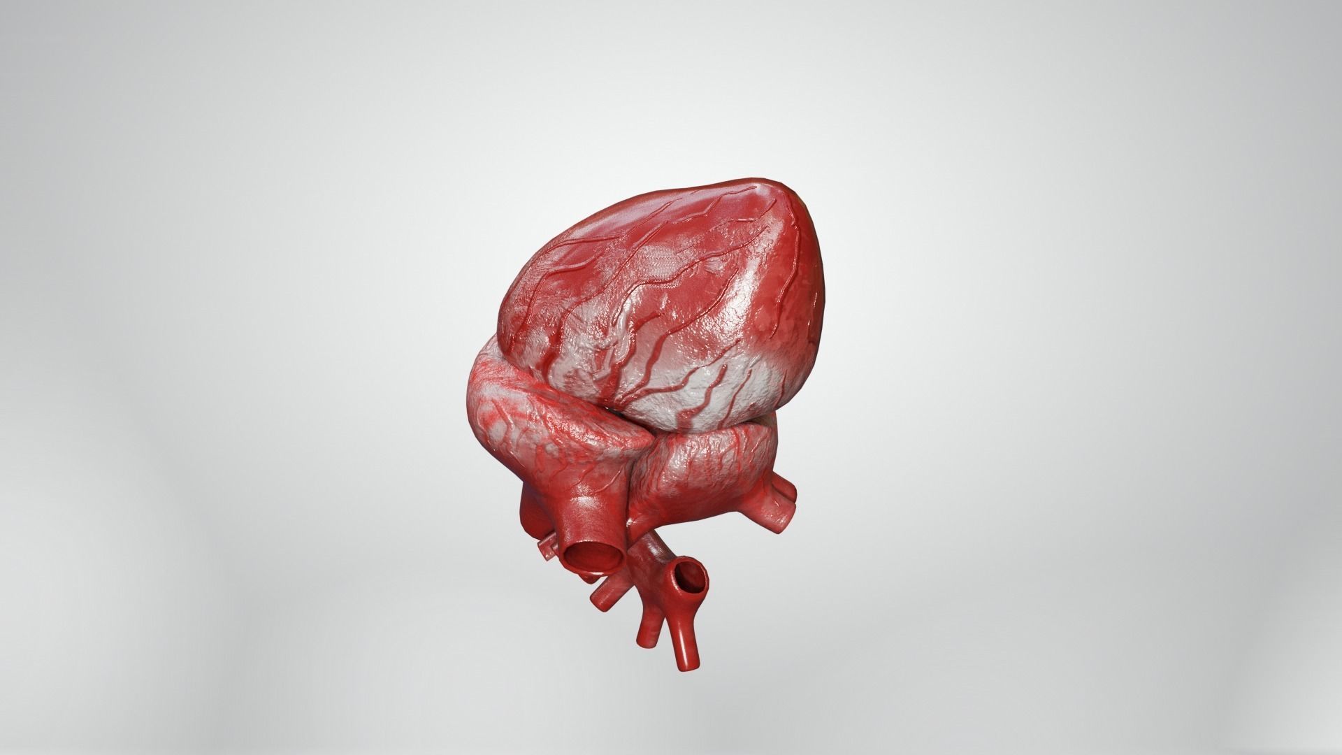 Inner Heart Low-poly 3D model_12