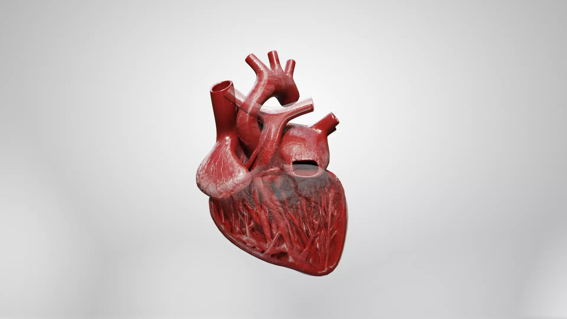 Inner Heart Low-poly 3D model_0
