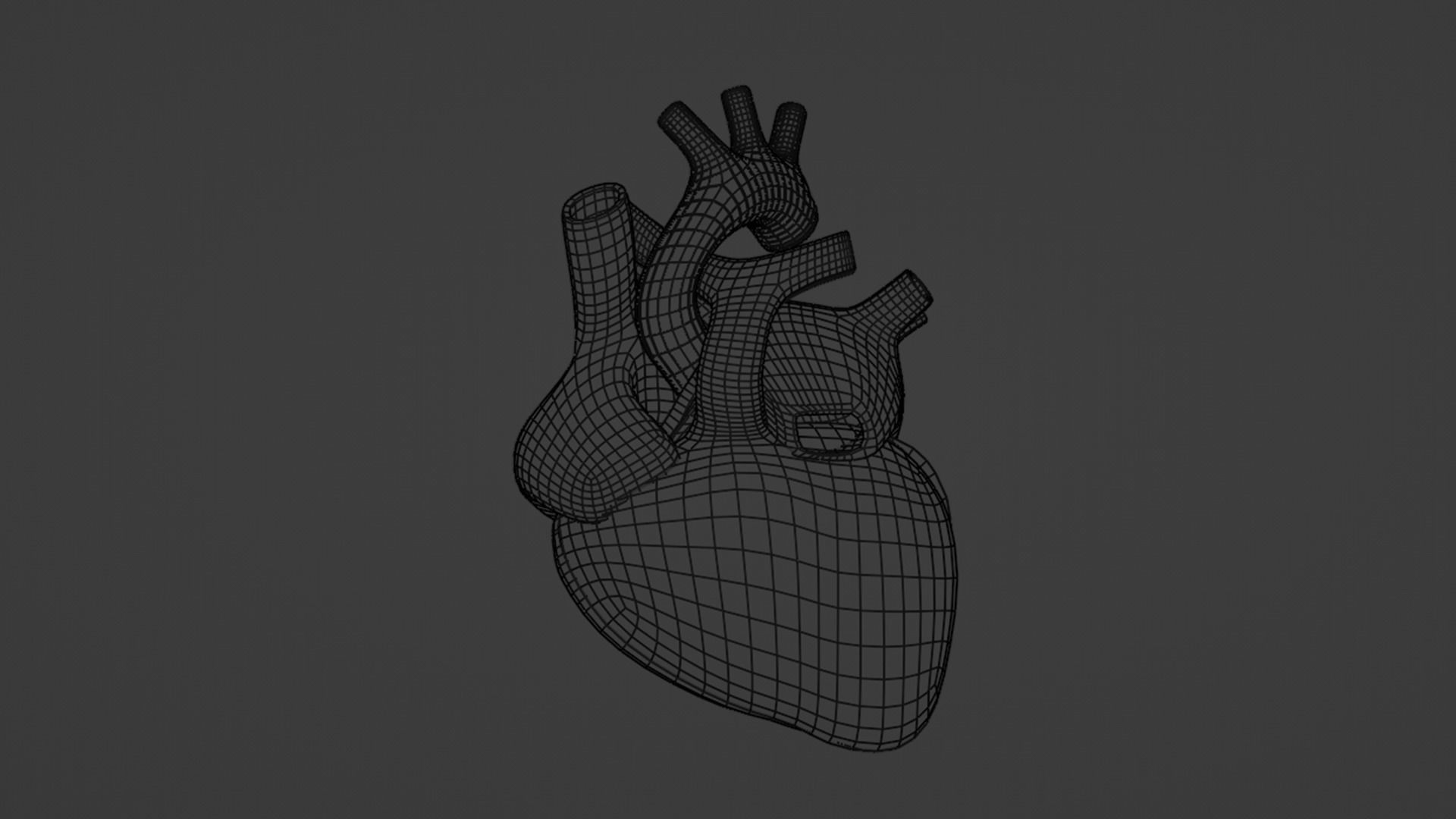 Inner Heart Low-poly 3D model_32