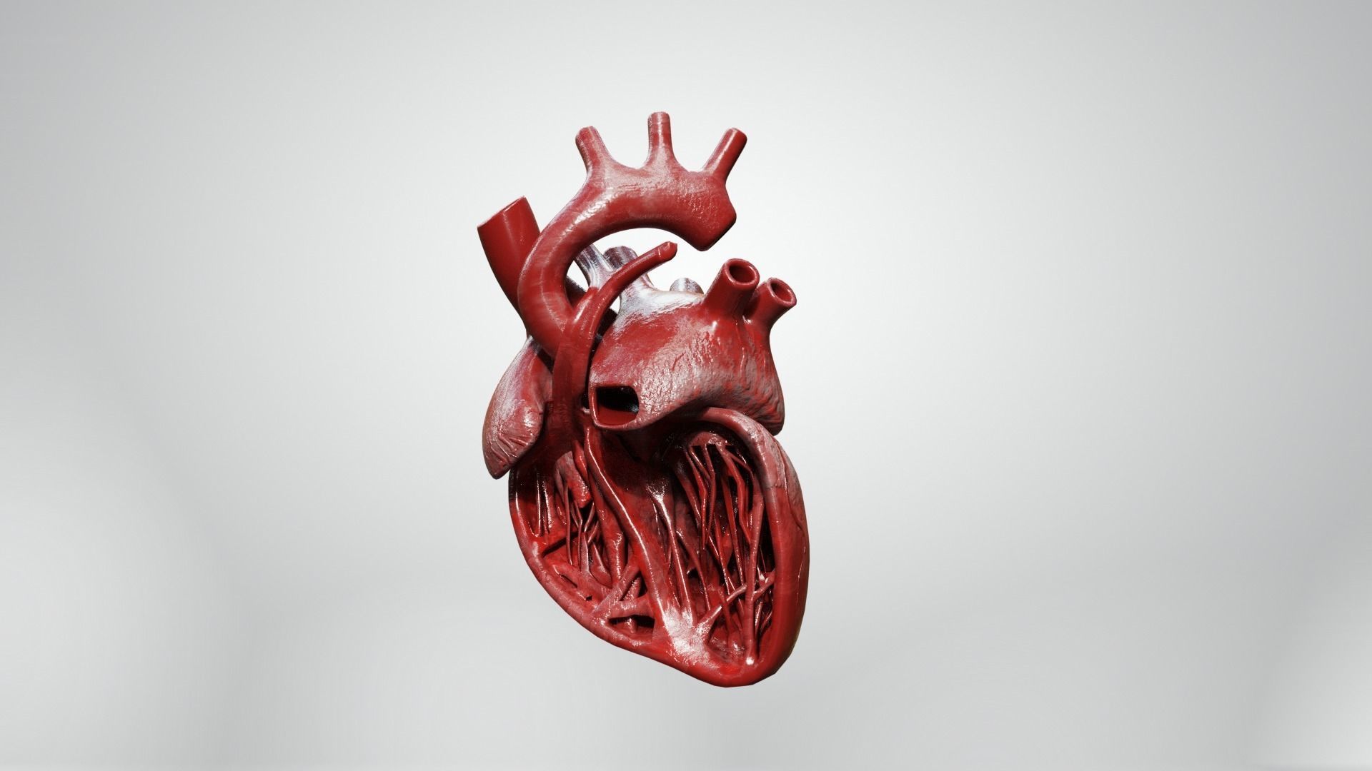 Inner Heart Low-poly 3D model_8