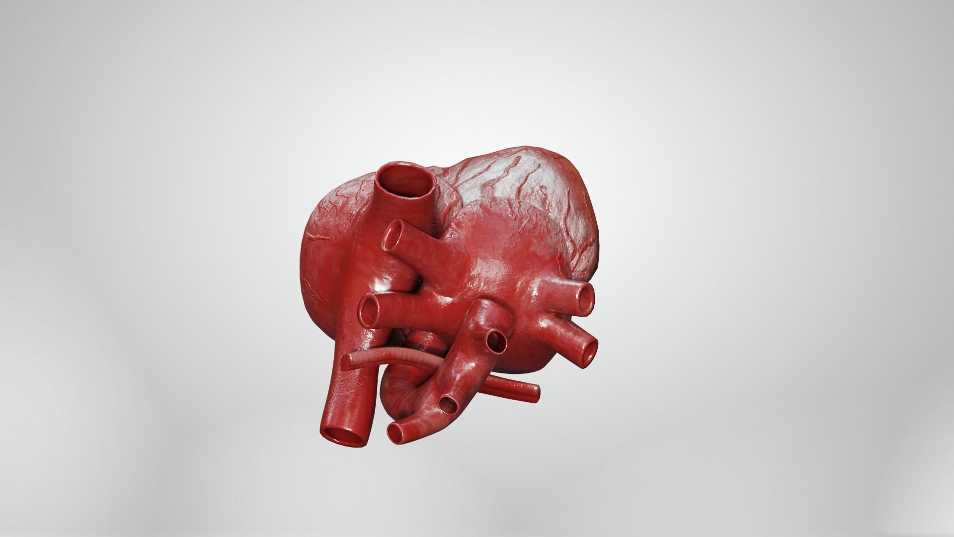 Inner Heart Low-poly 3D model_10