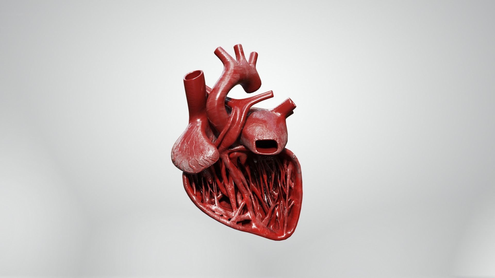 Inner Heart Low-poly 3D model_1