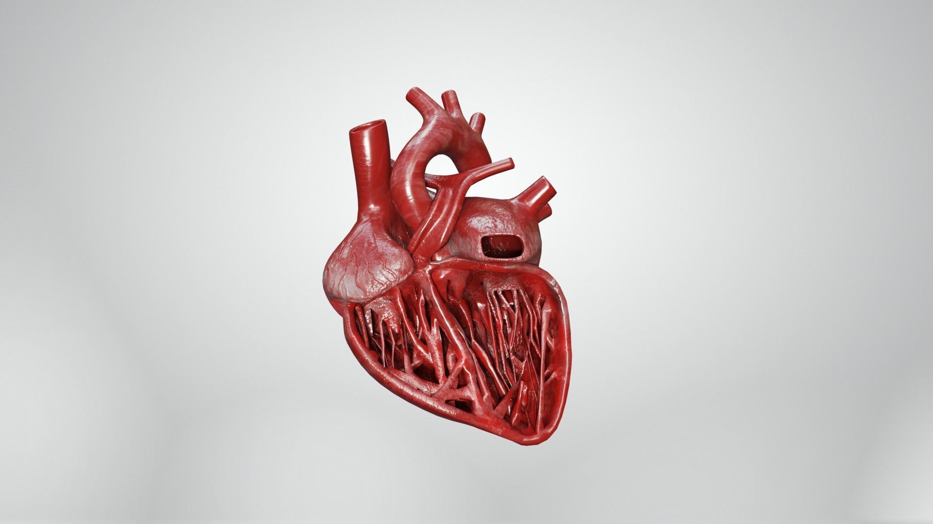 Inner Heart Low-poly 3D model_15