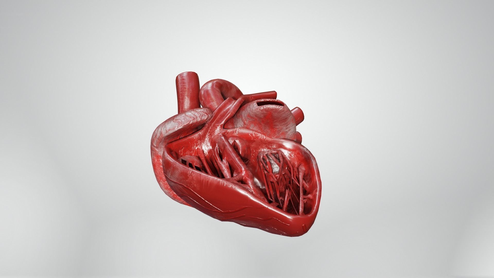 Inner Heart Low-poly 3D model_14