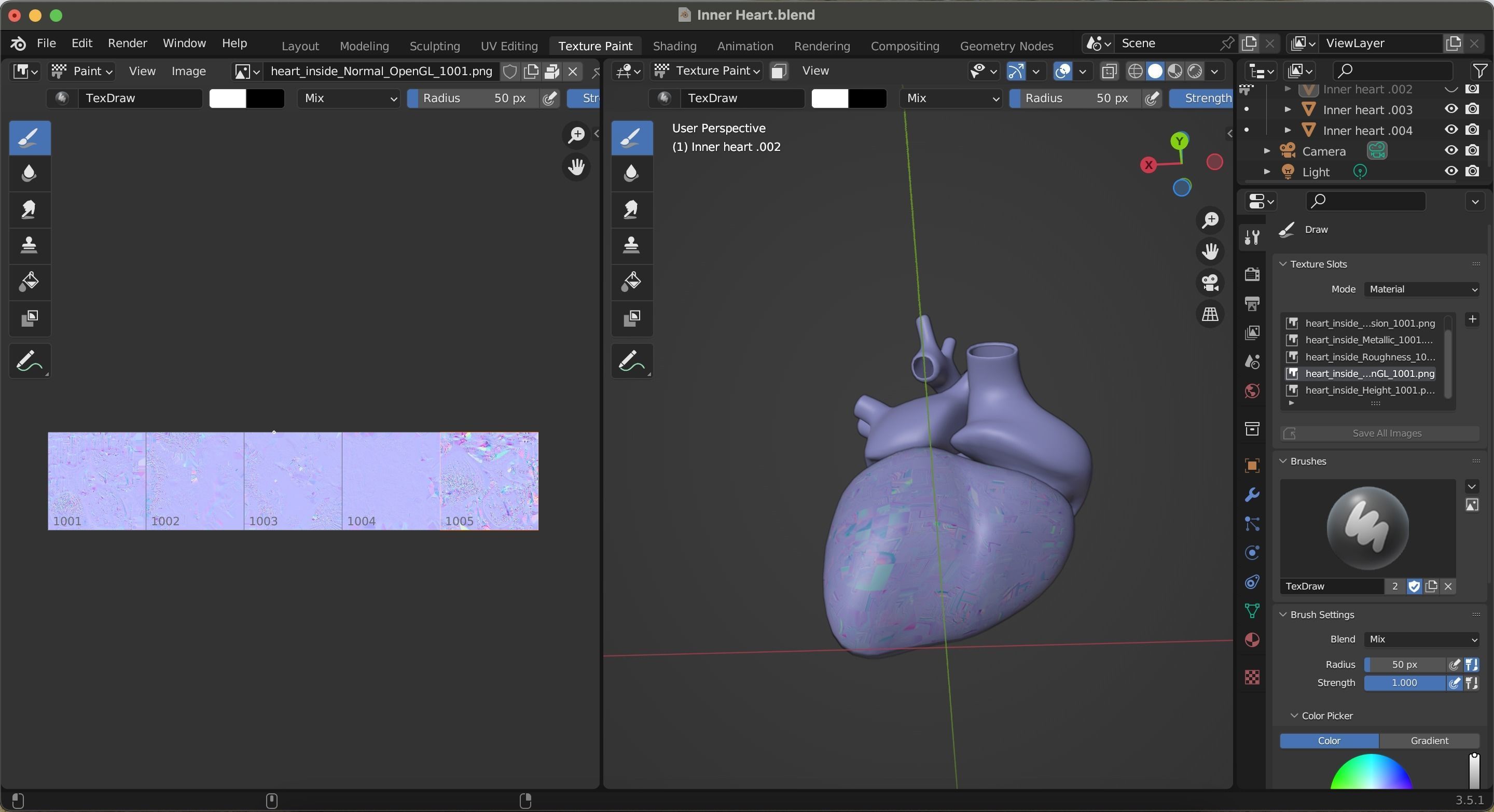 Inner Heart Low-poly 3D model_29