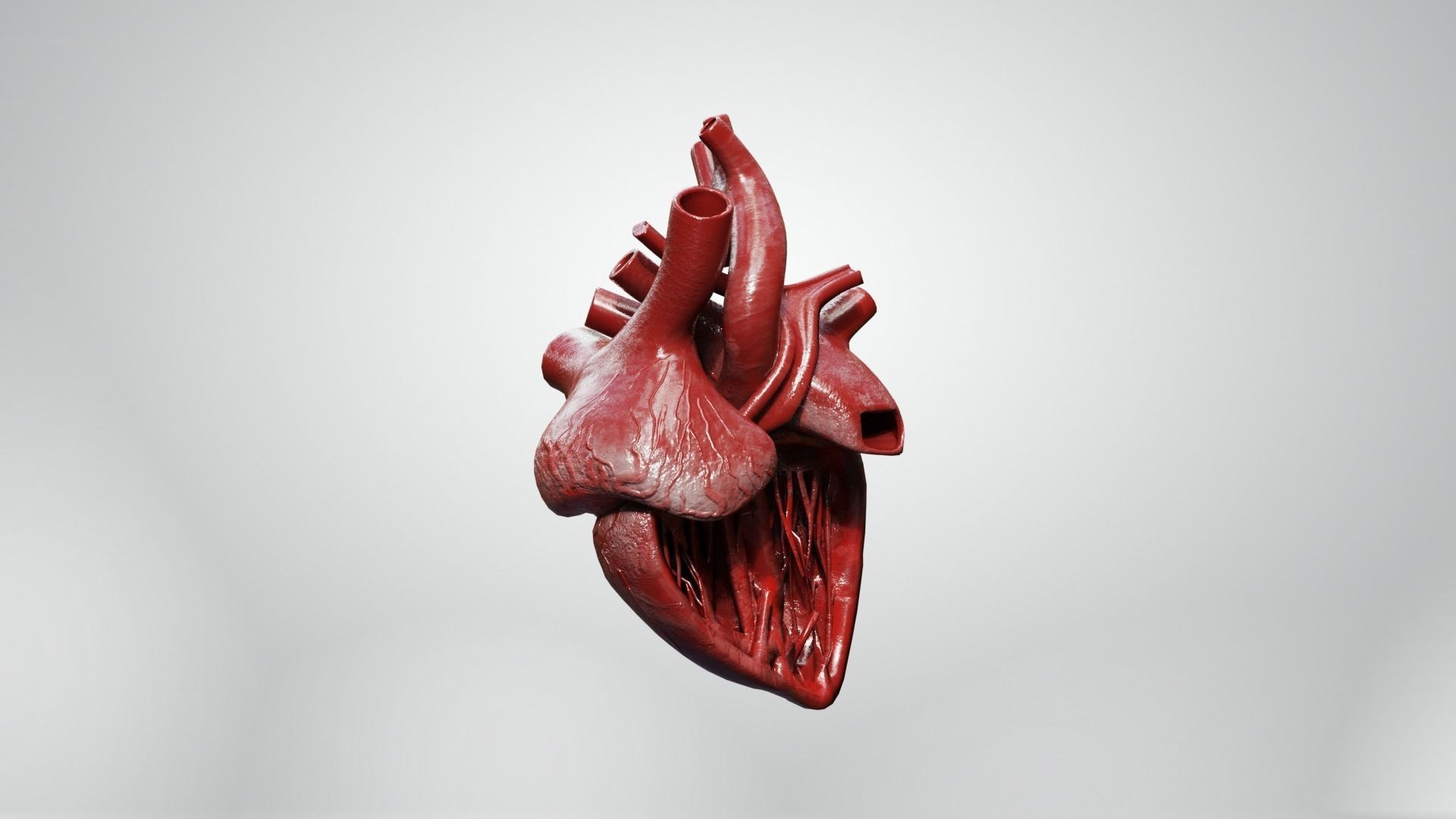 Inner Heart Low-poly 3D model_2