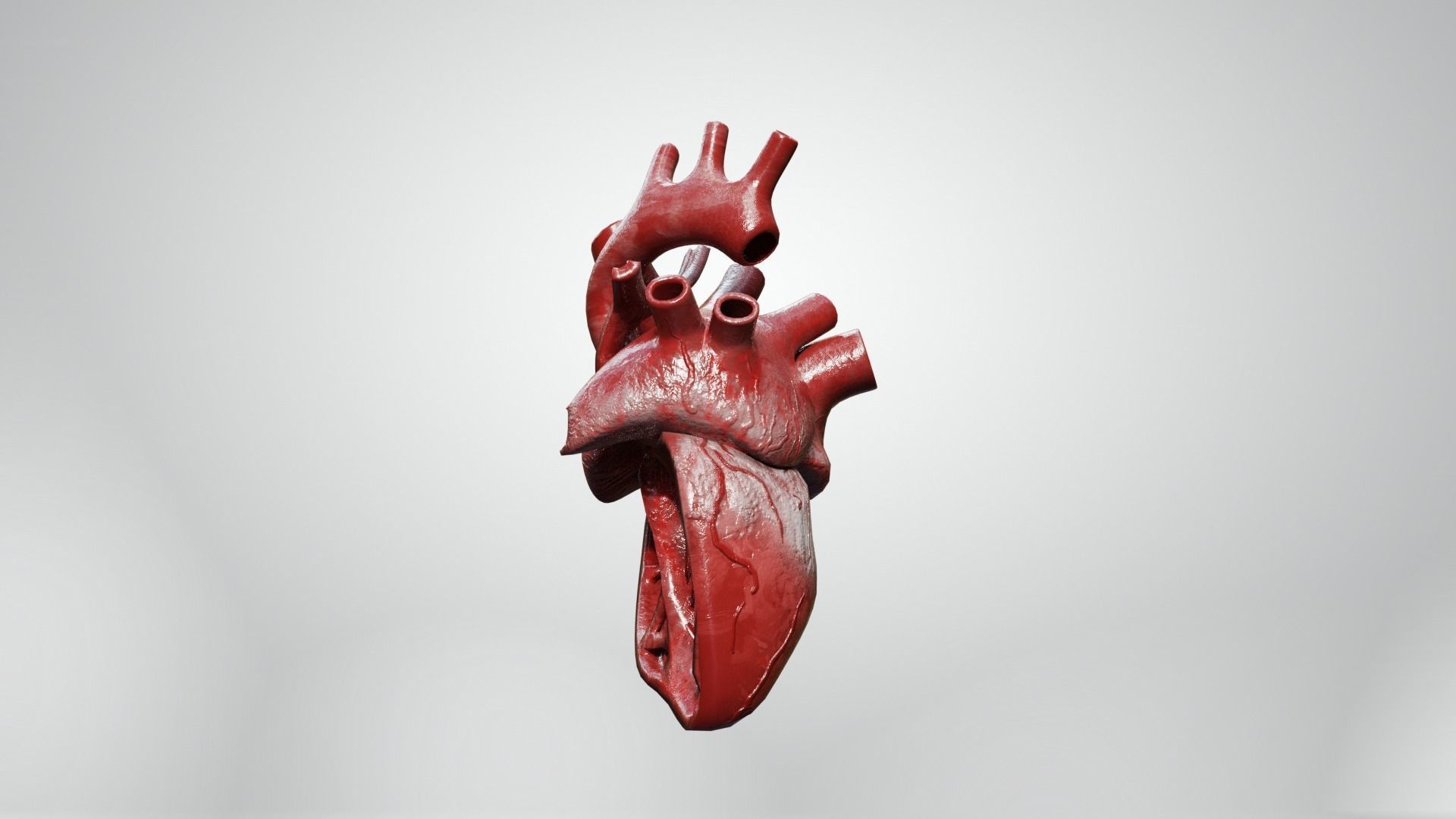 Inner Heart Low-poly 3D model_7