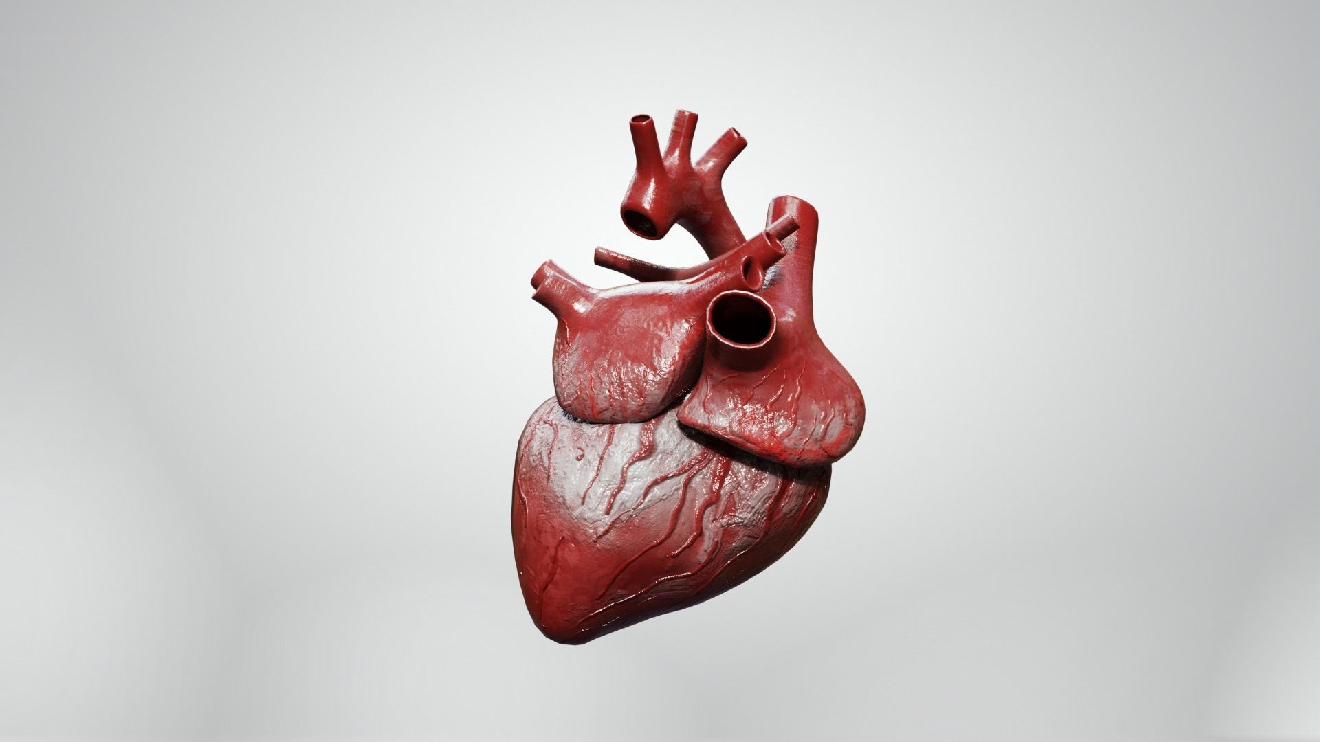 Inner Heart Low-poly 3D model_5