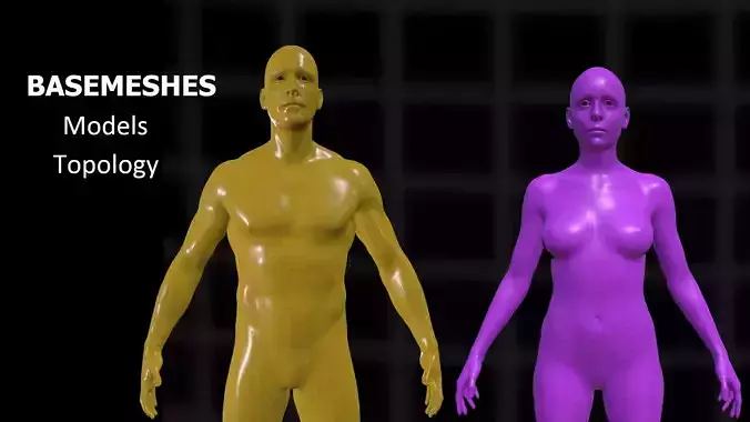 Basemeshes Male Female 