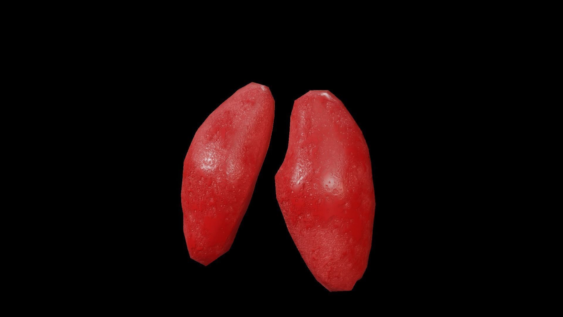 Internal Lung Low-poly 3D model_41