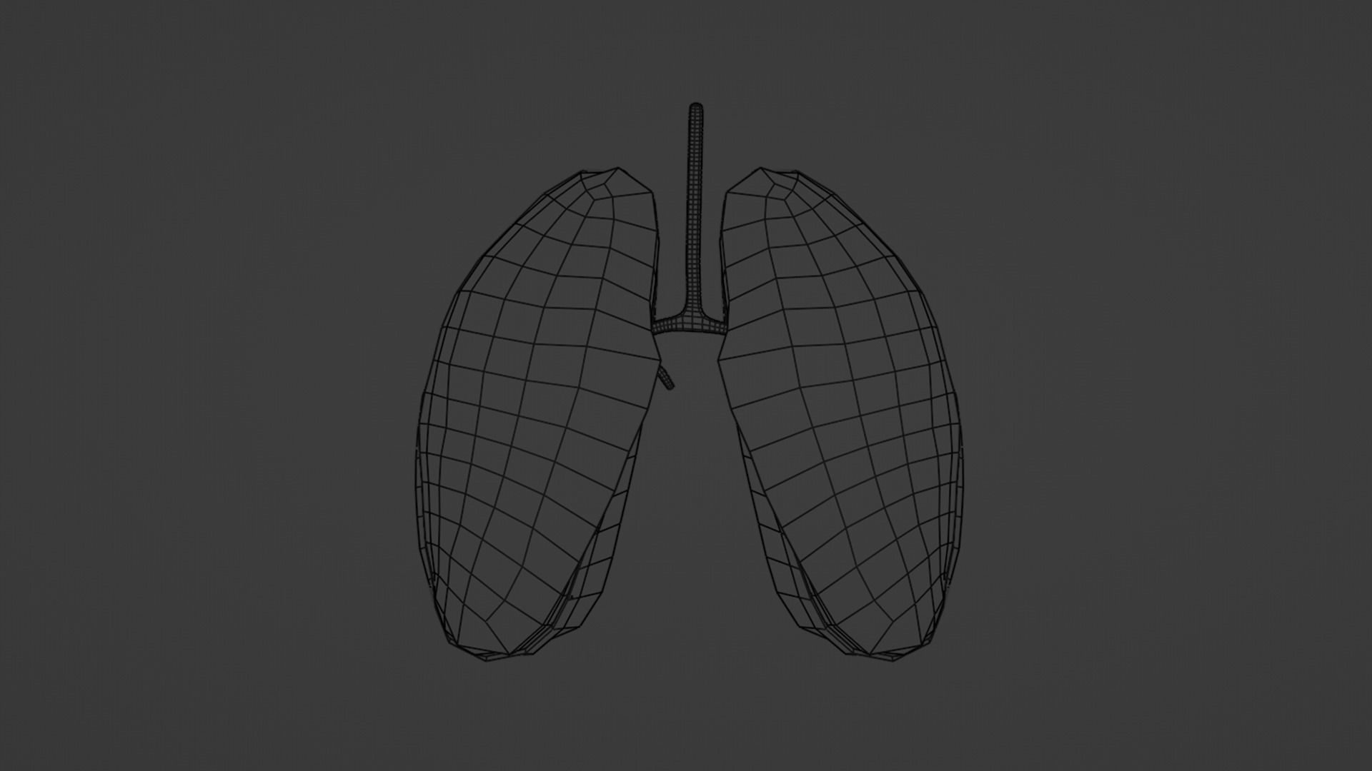 Internal Lung Low-poly 3D model_27