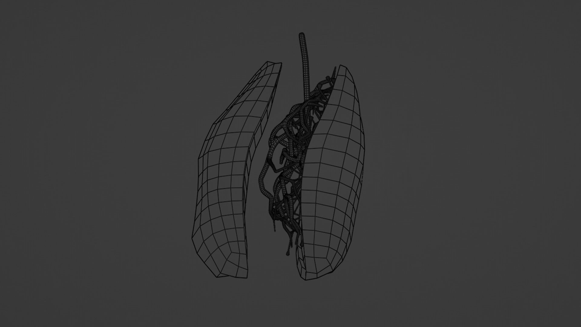 Internal Lung Low-poly 3D model_29