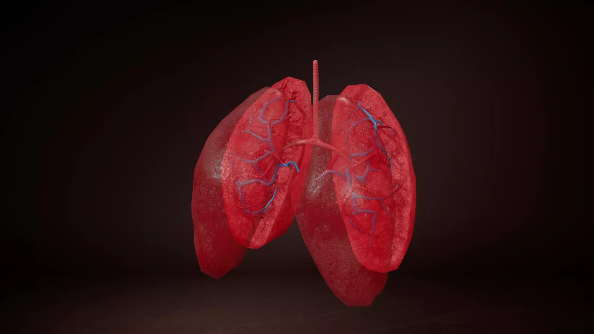 Internal Lung Low-poly 3D model_0