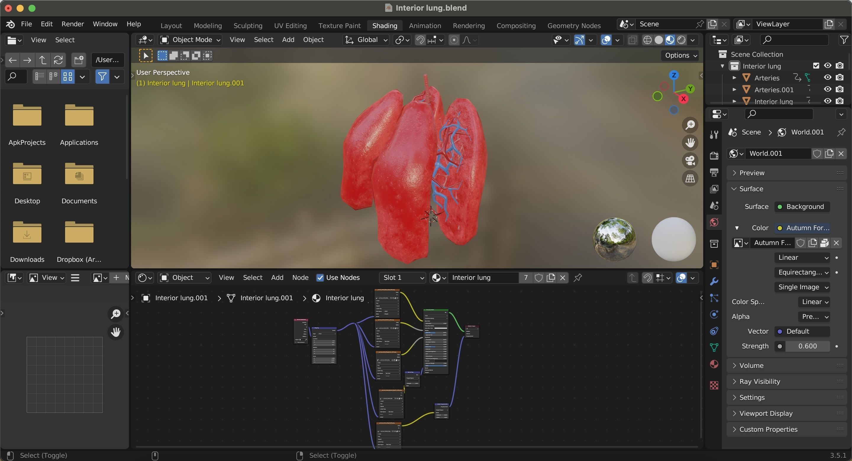 Internal Lung Low-poly 3D model_11