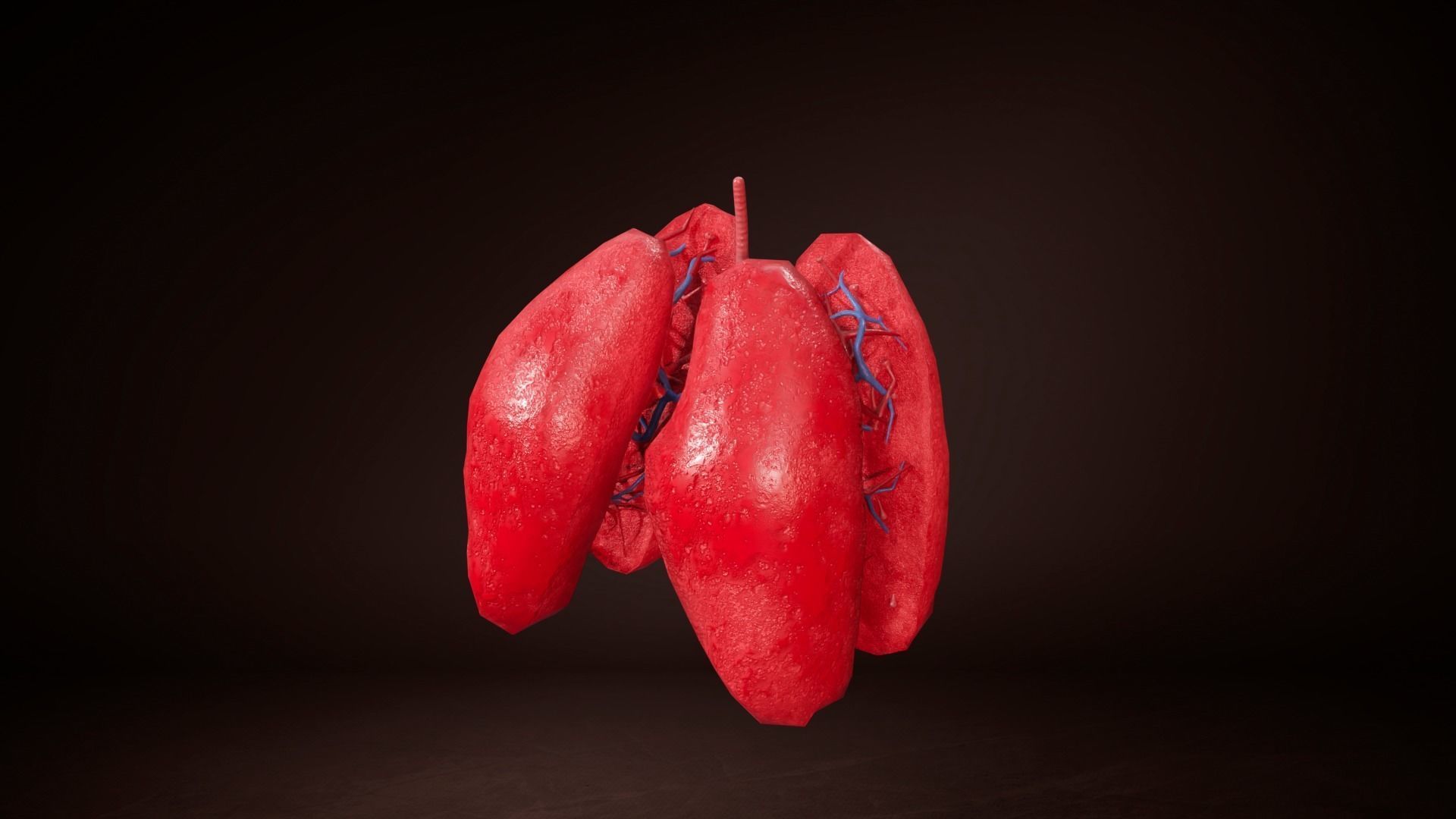 Internal Lung Low-poly 3D model_1
