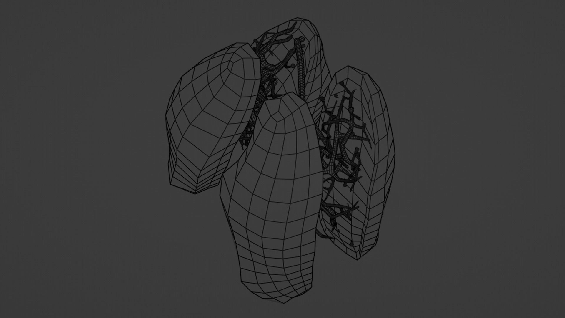 Internal Lung Low-poly 3D model_31