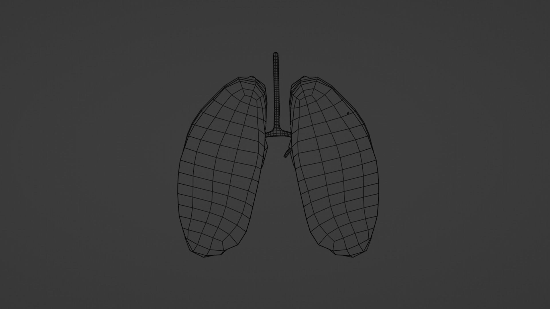Internal Lung Low-poly 3D model_28