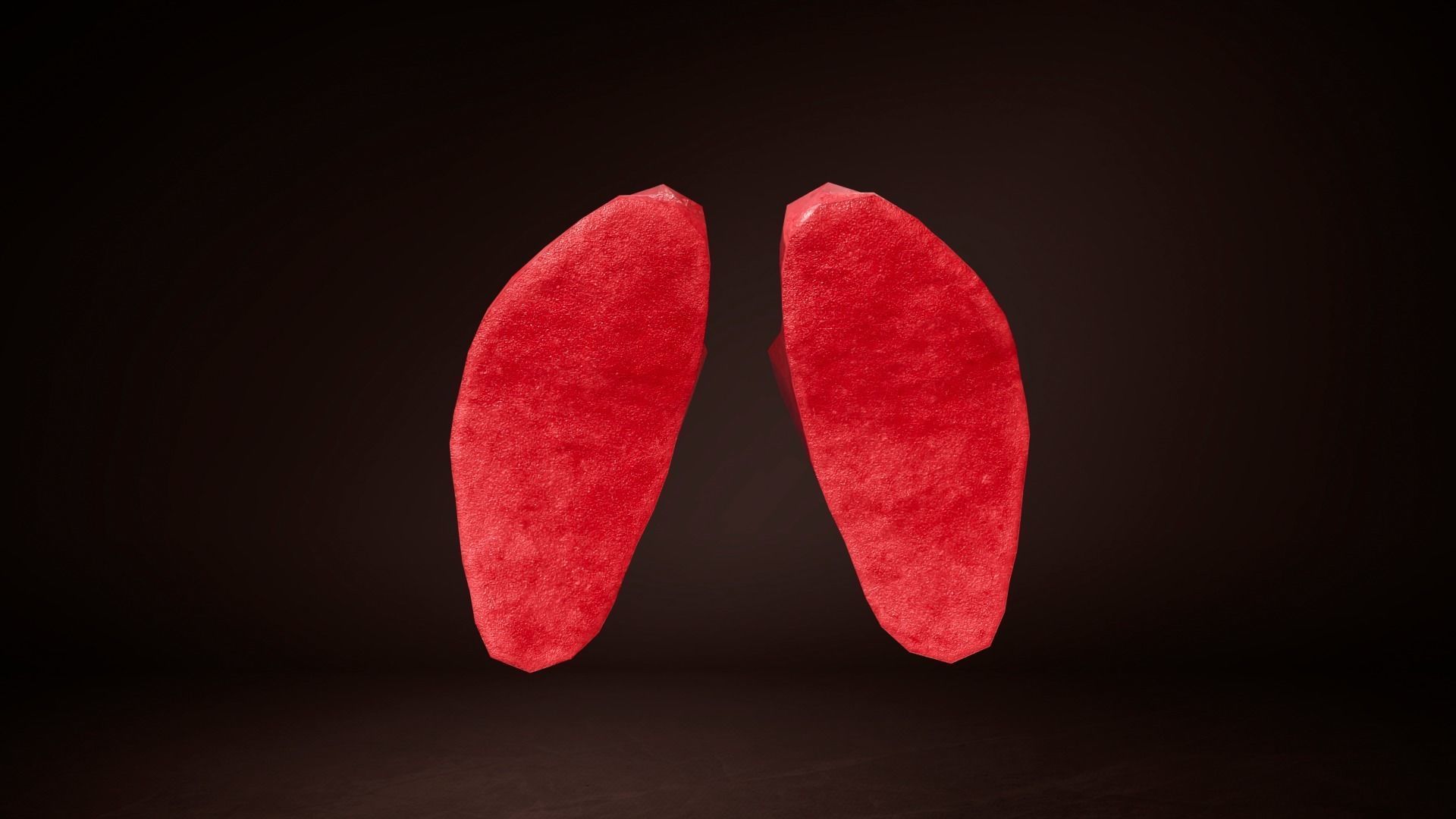 Internal Lung Low-poly 3D model_10