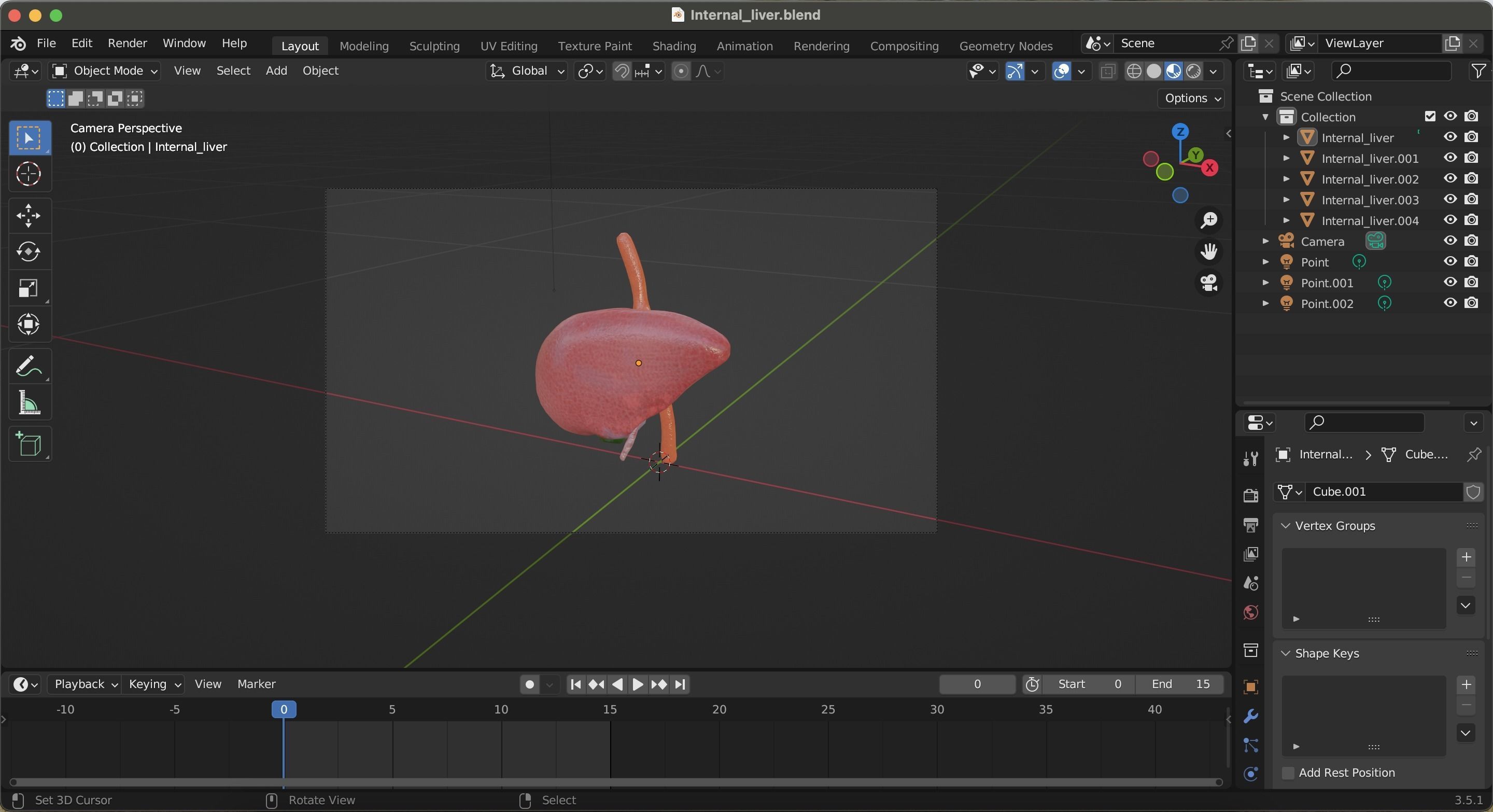 Internal Liver Low-poly 3D model_26