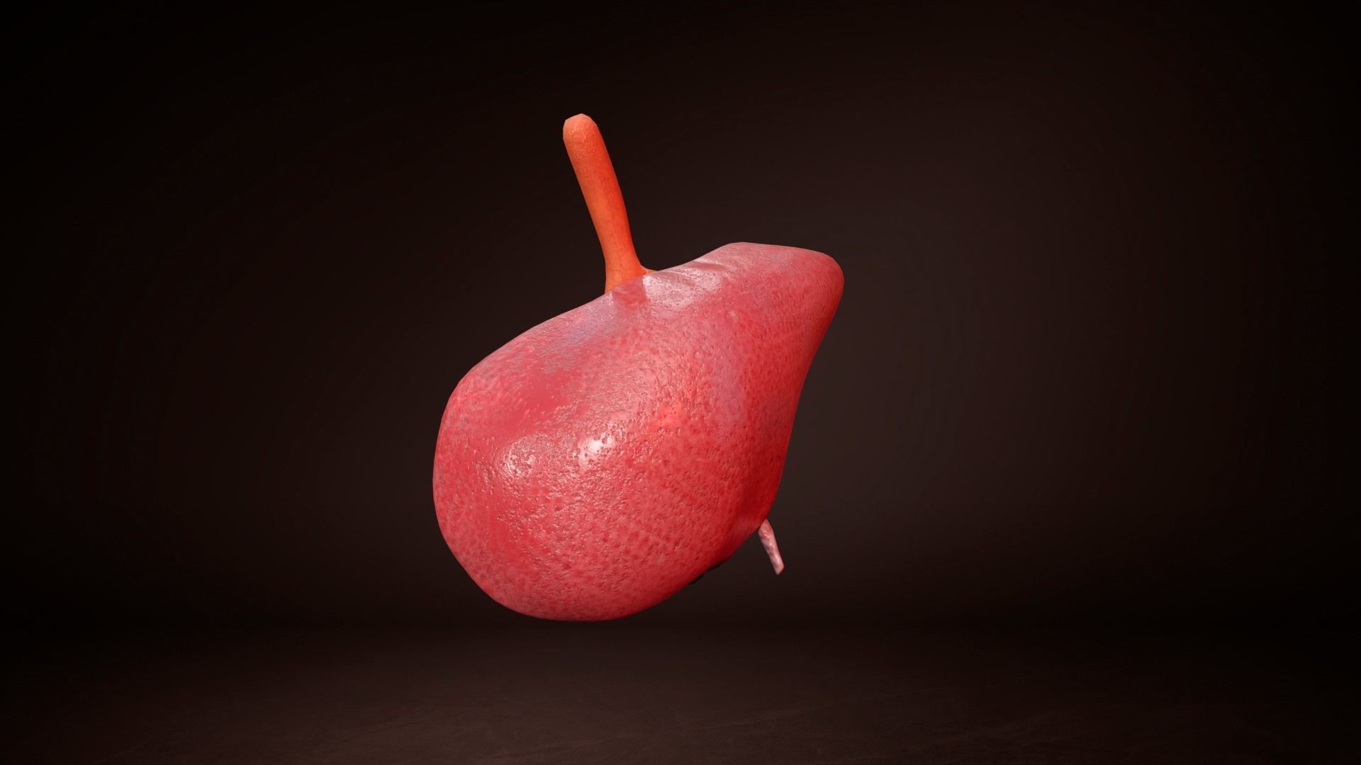 Internal Liver Low-poly 3D model_6