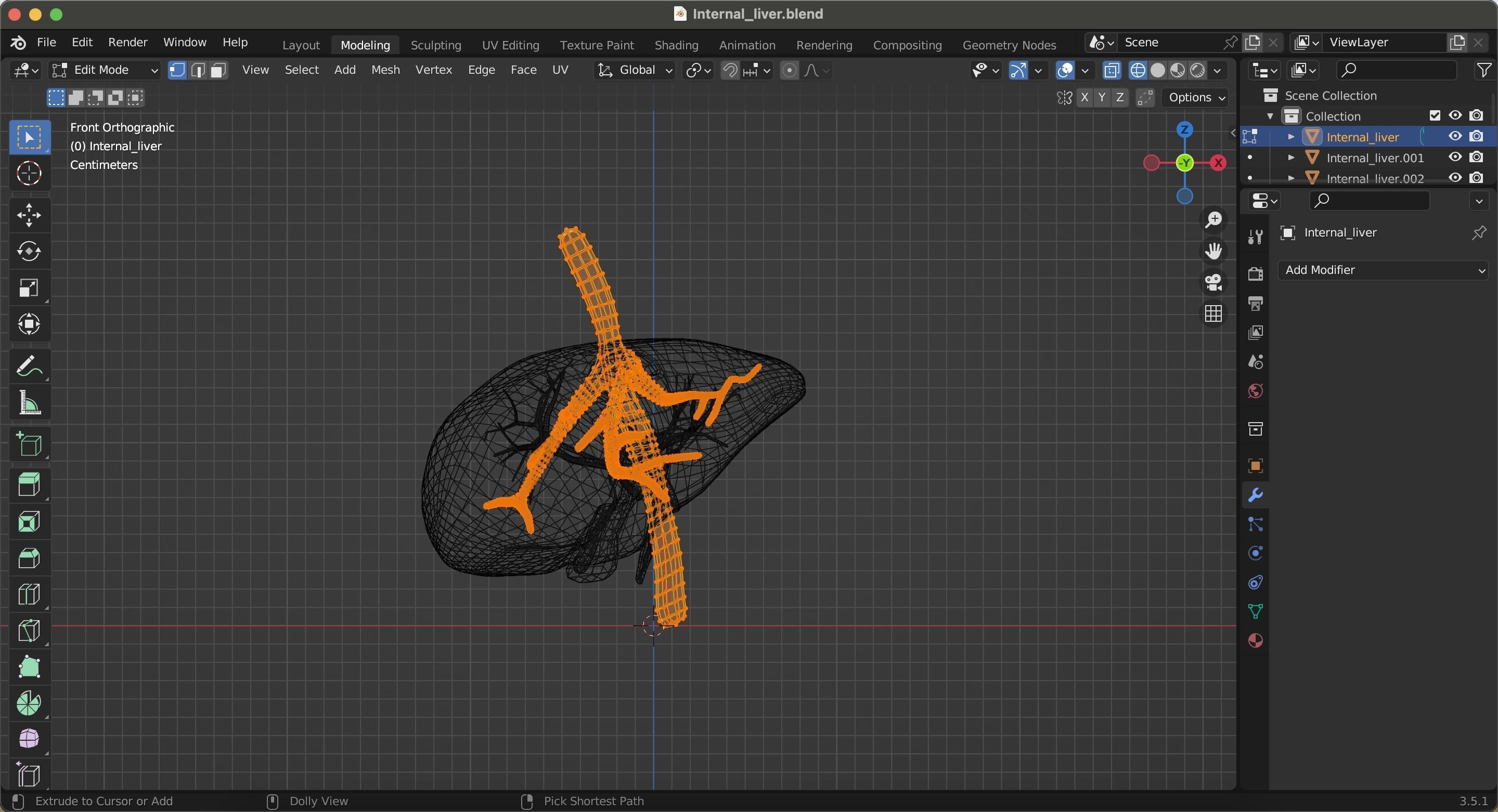 Internal Liver Low-poly 3D model_32