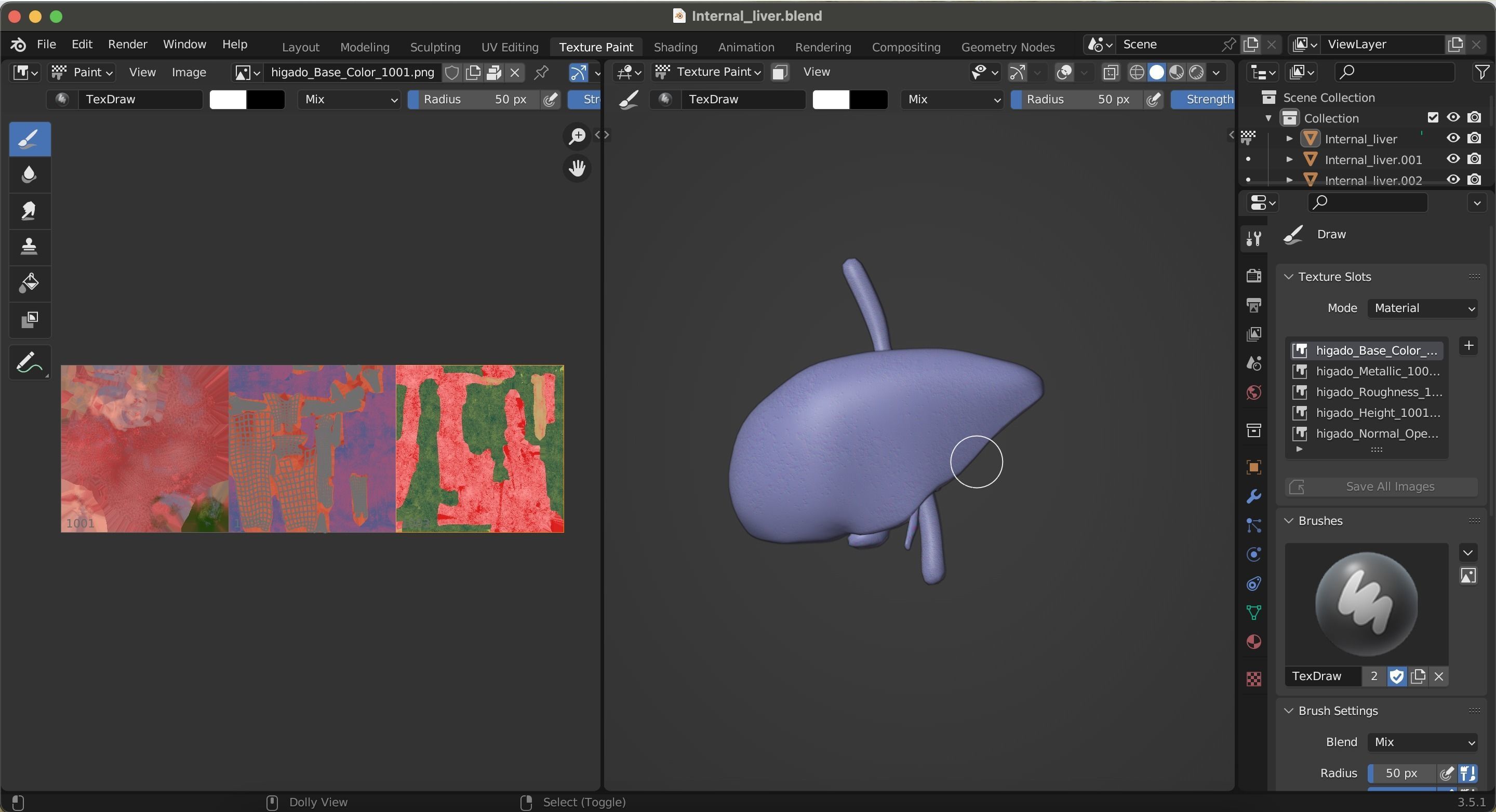 Internal Liver Low-poly 3D model_40