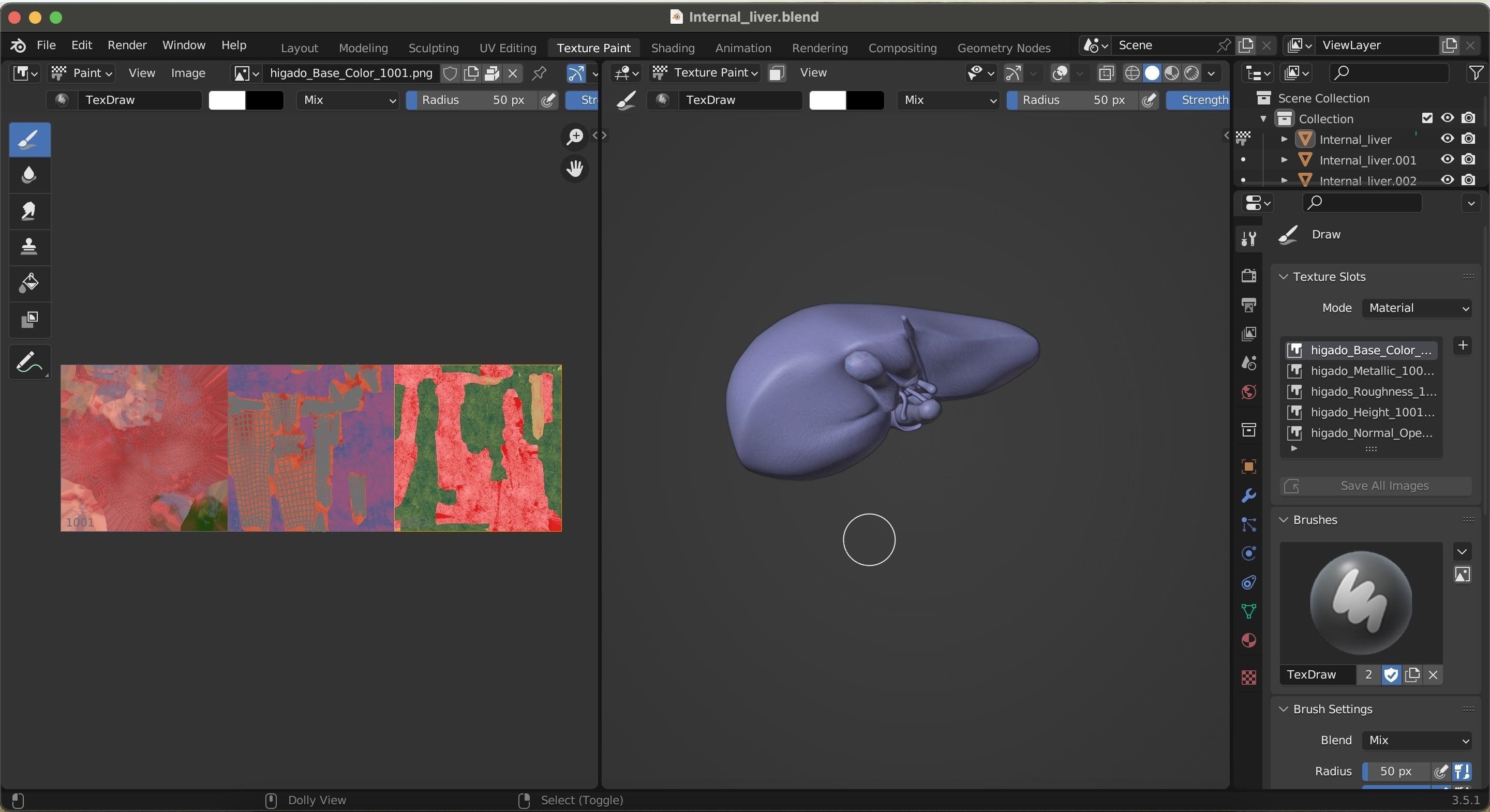 Internal Liver Low-poly 3D model_43