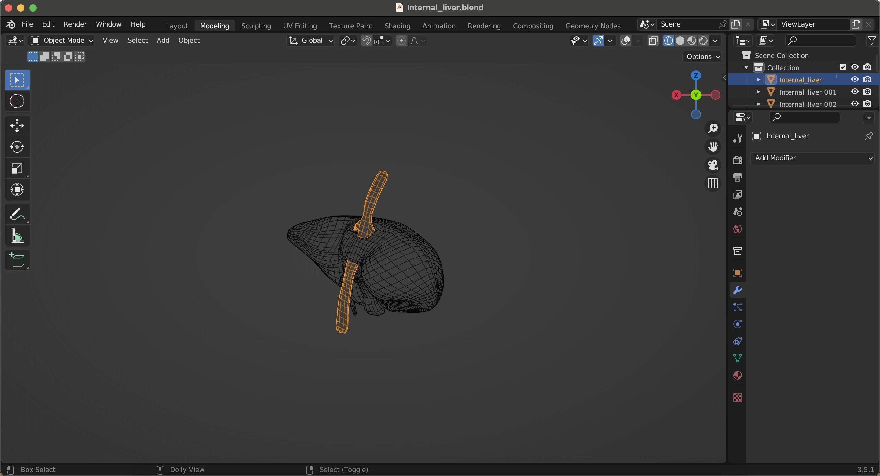 Internal Liver Low-poly 3D model_36