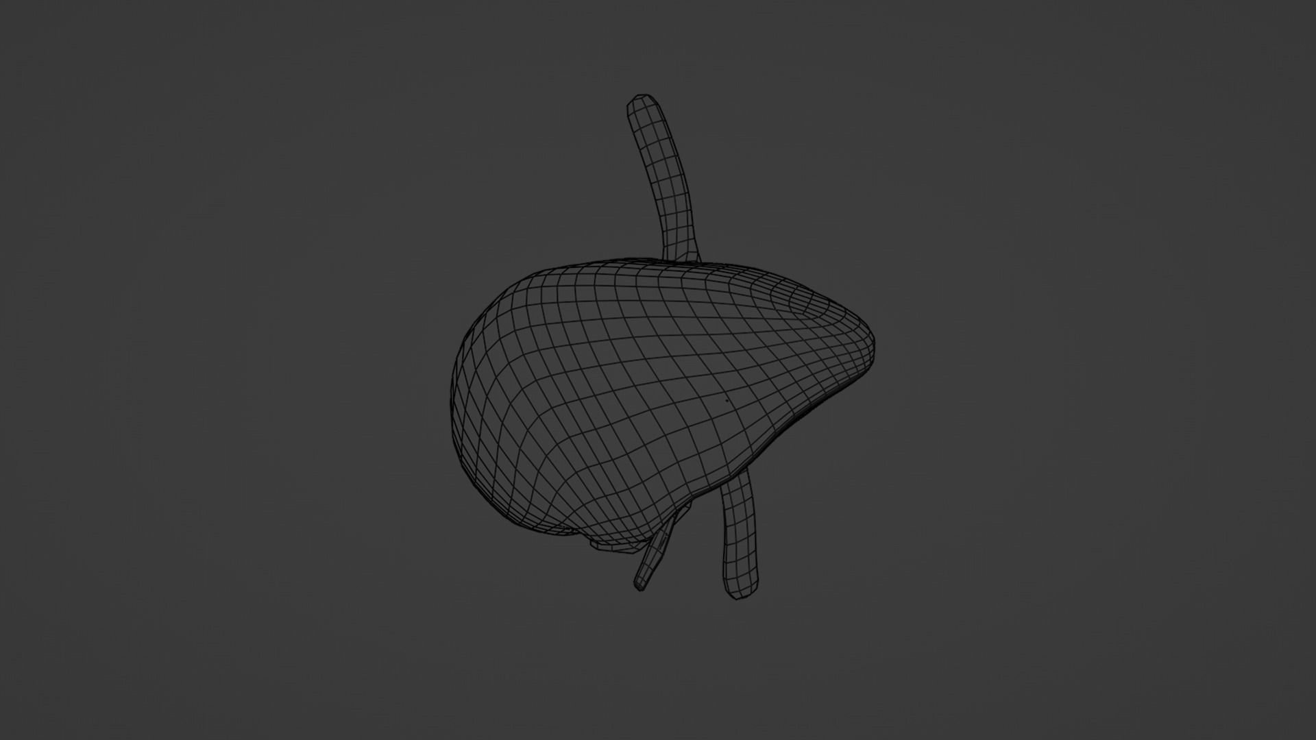 Internal Liver Low-poly 3D model_44