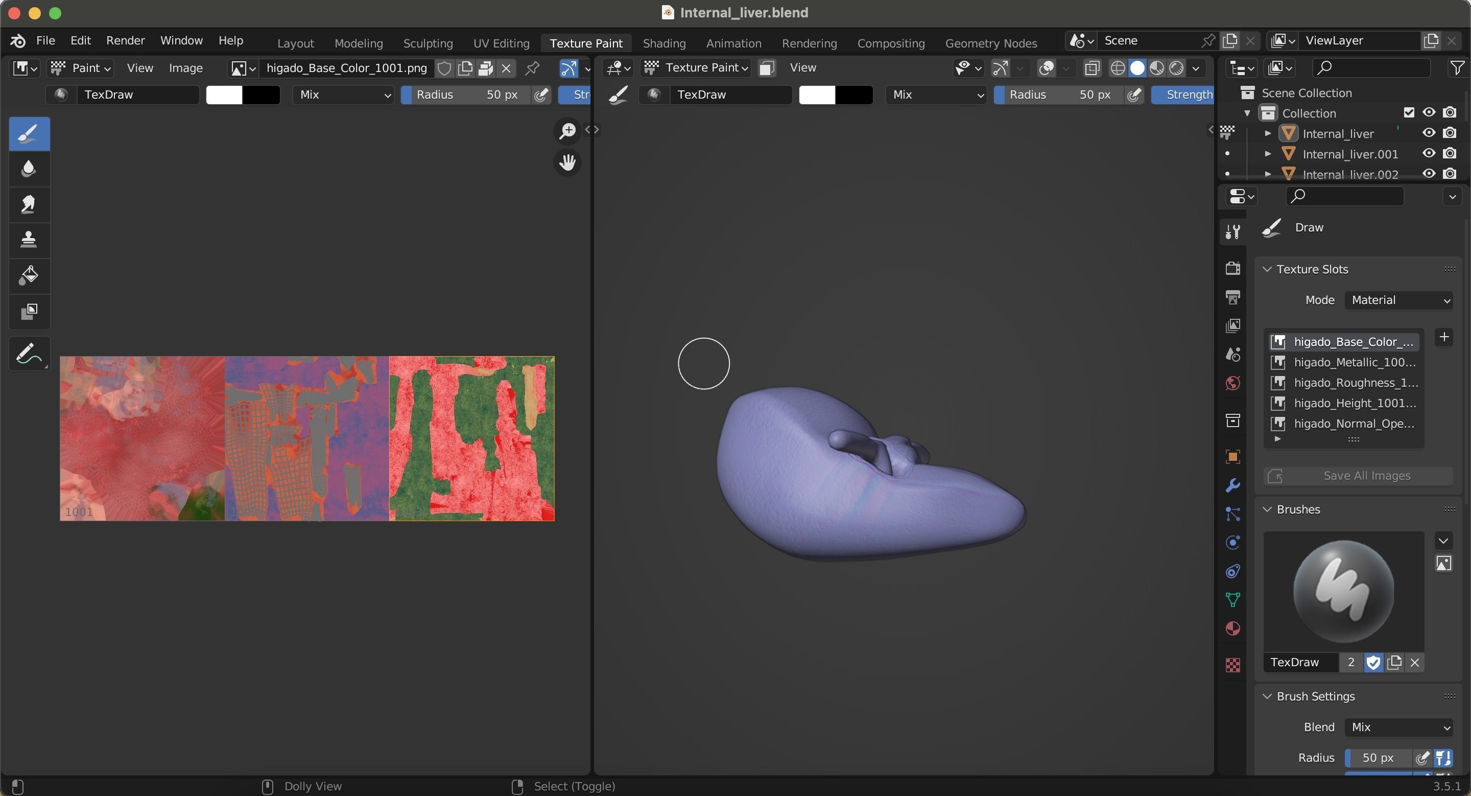 Internal Liver Low-poly 3D model_41