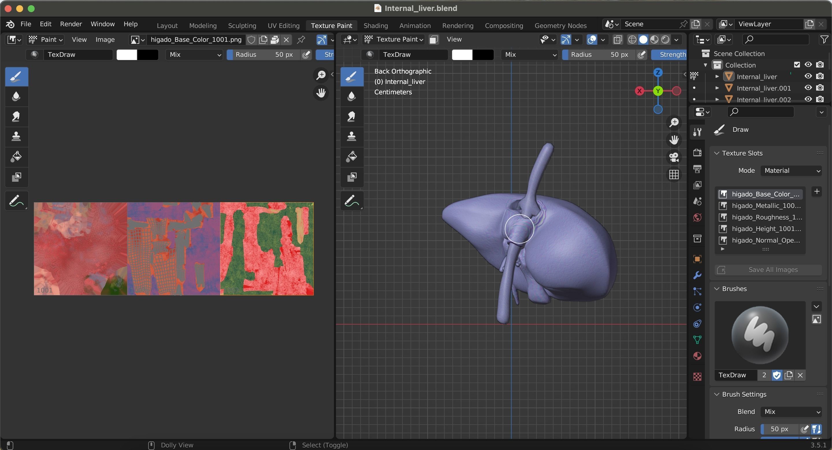 Internal Liver Low-poly 3D model_38