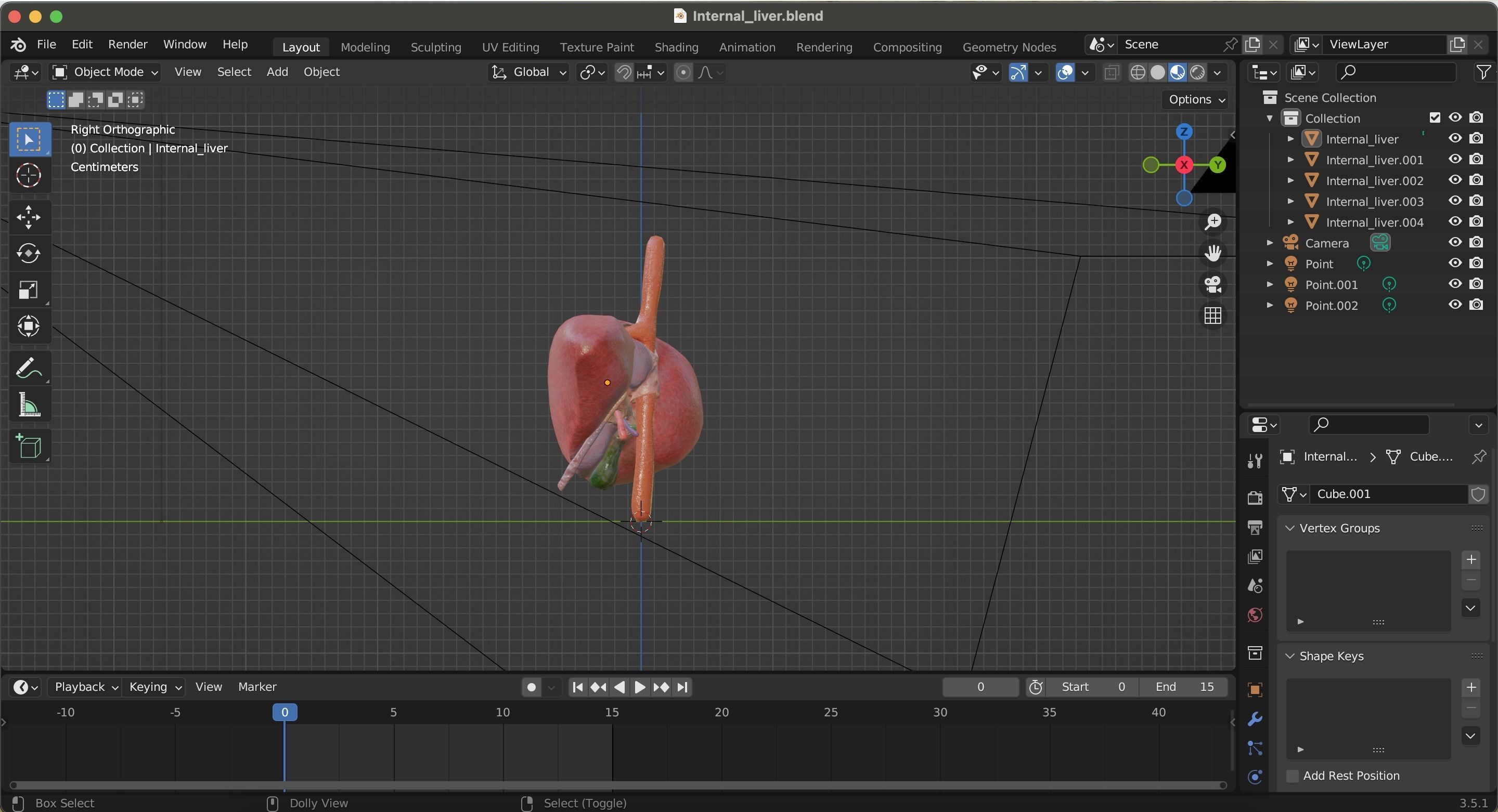 Internal Liver Low-poly 3D model_28