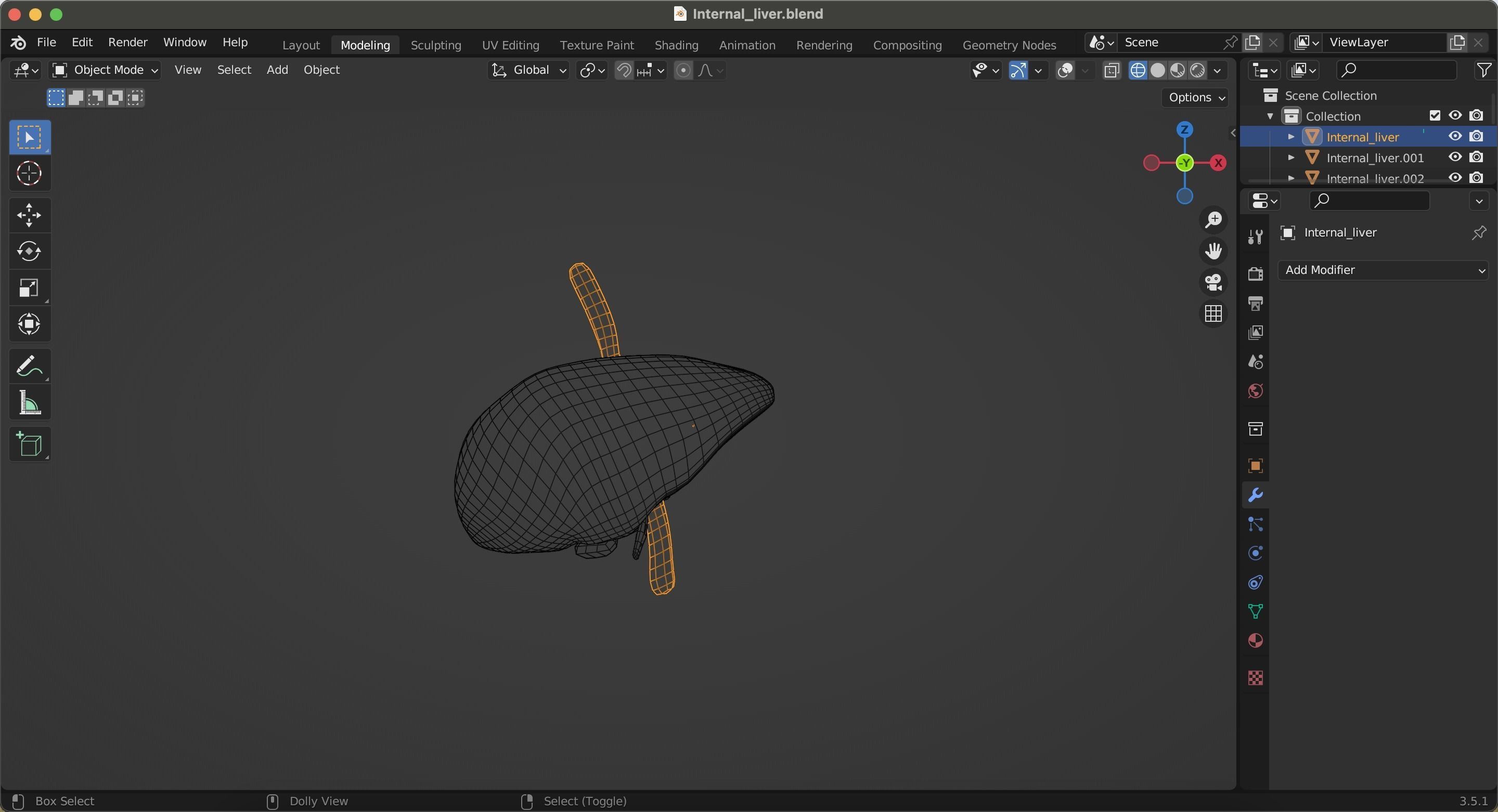 Internal Liver Low-poly 3D model_34