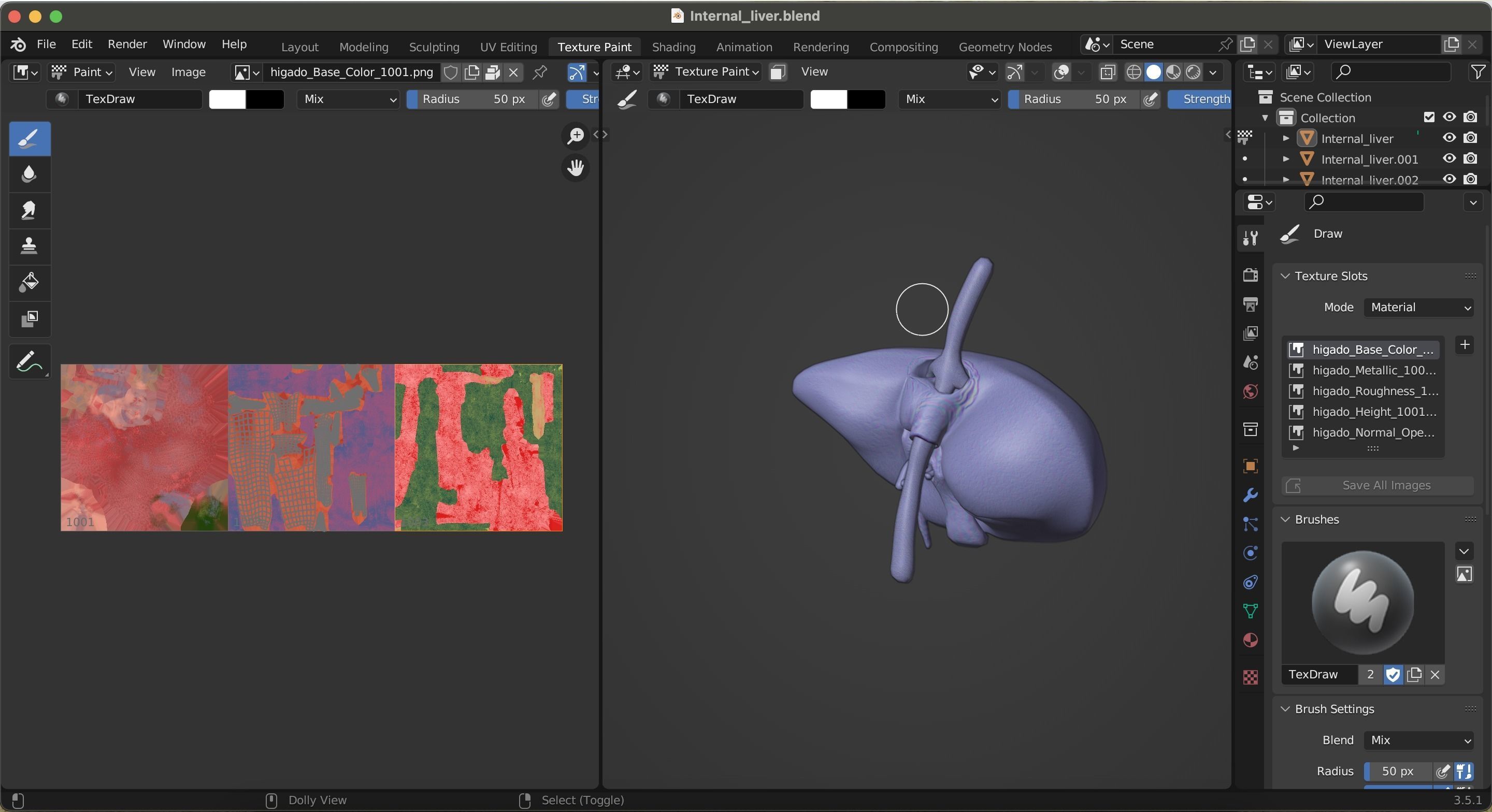 Internal Liver Low-poly 3D model_39