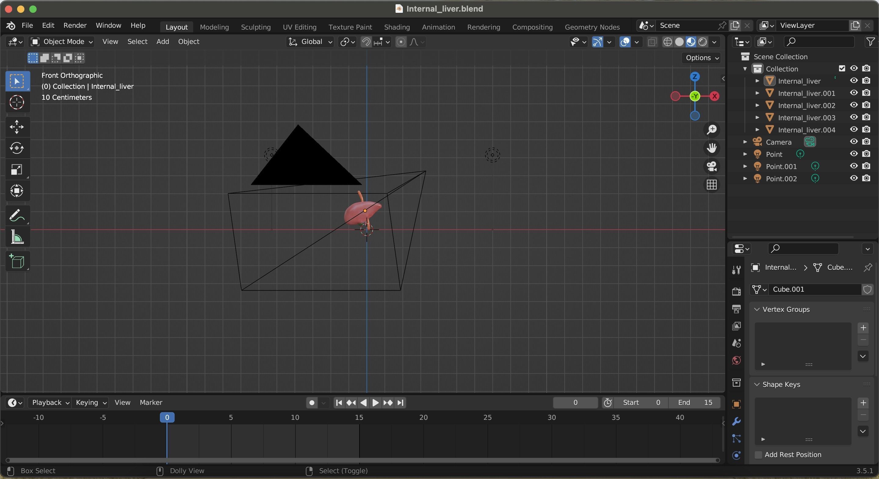 Internal Liver Low-poly 3D model_27