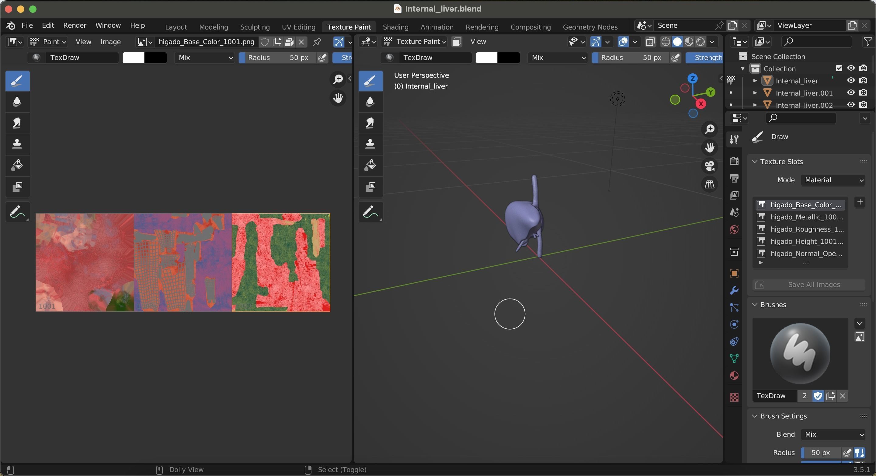 Internal Liver Low-poly 3D model_37