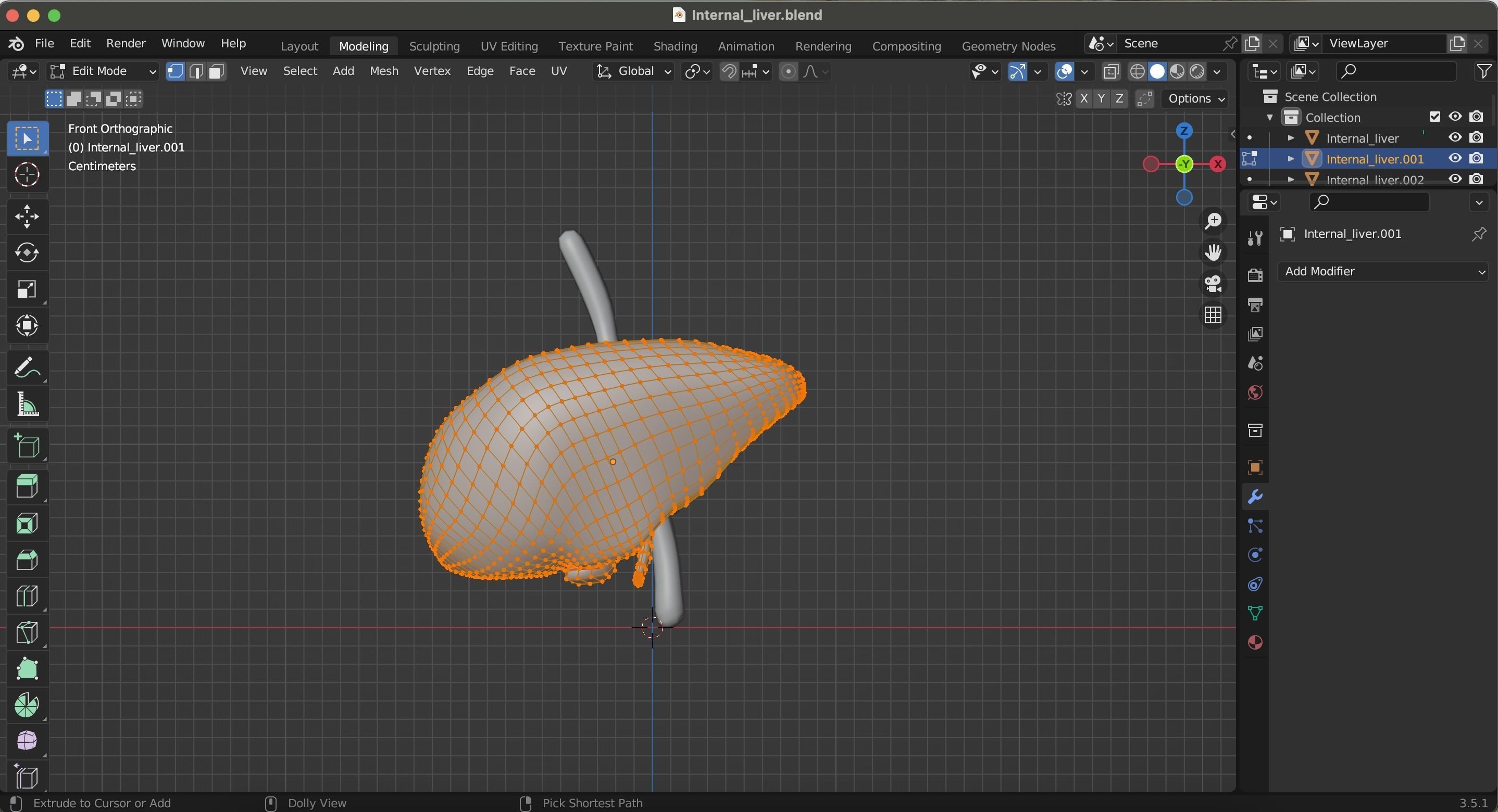 Internal Liver Low-poly 3D model_31