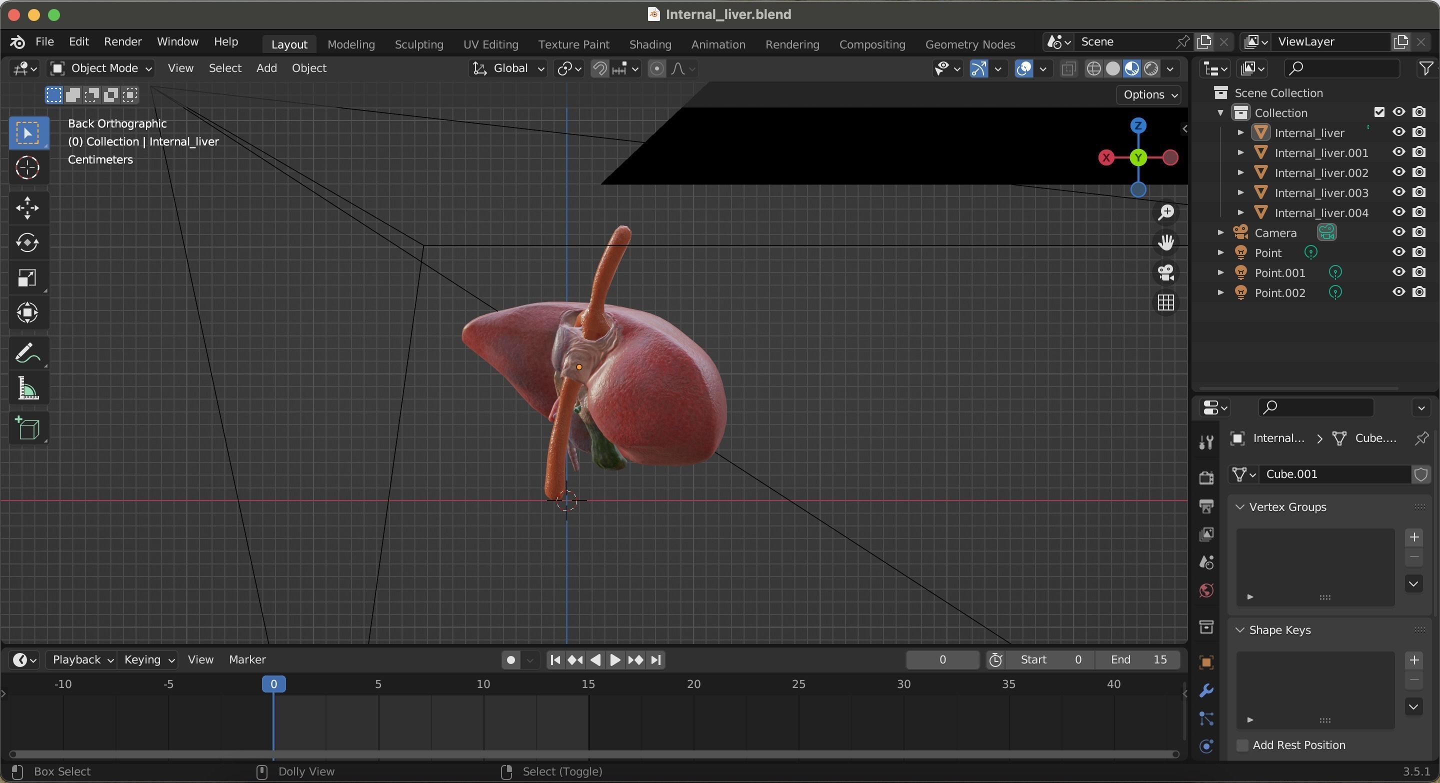 Internal Liver Low-poly 3D model_29