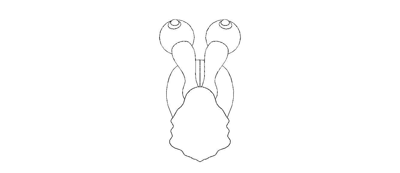 3D Art Surface Little Snail 3D print model_26